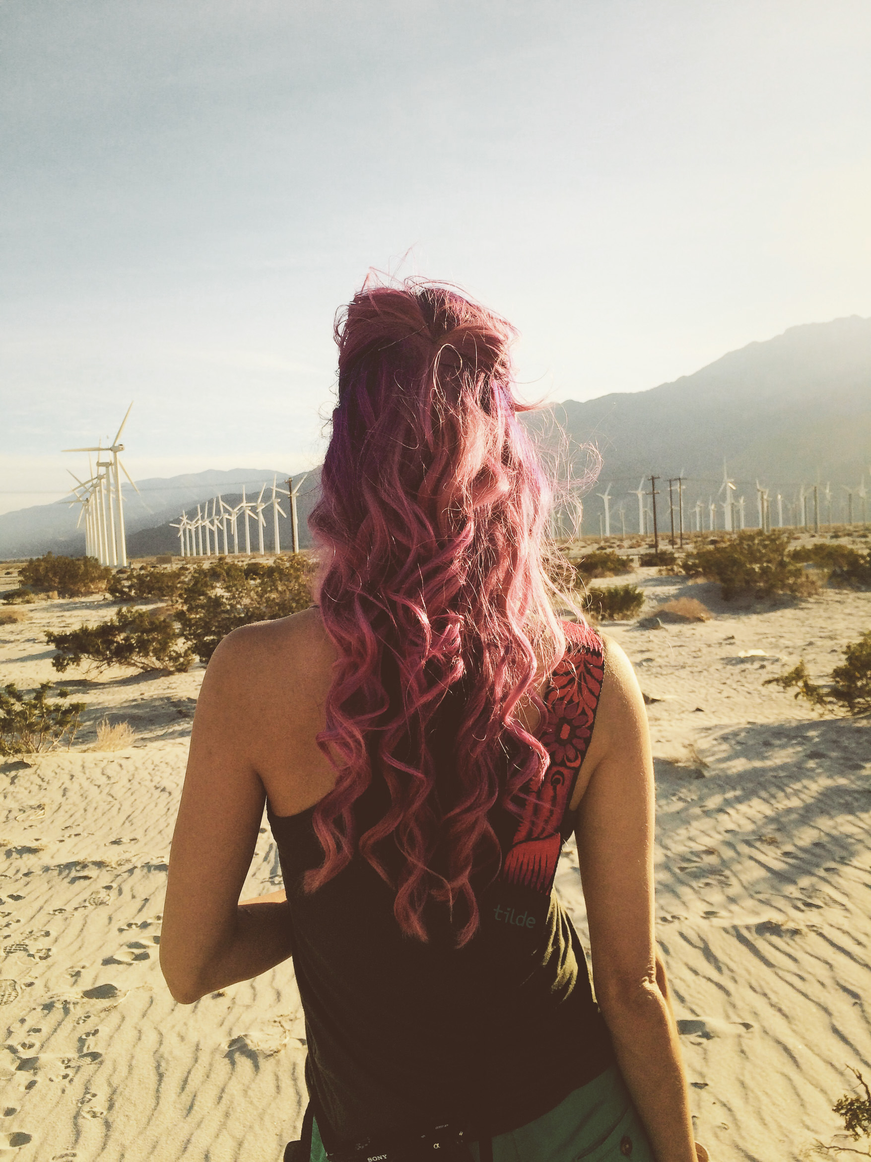 california palm springs modernism camp