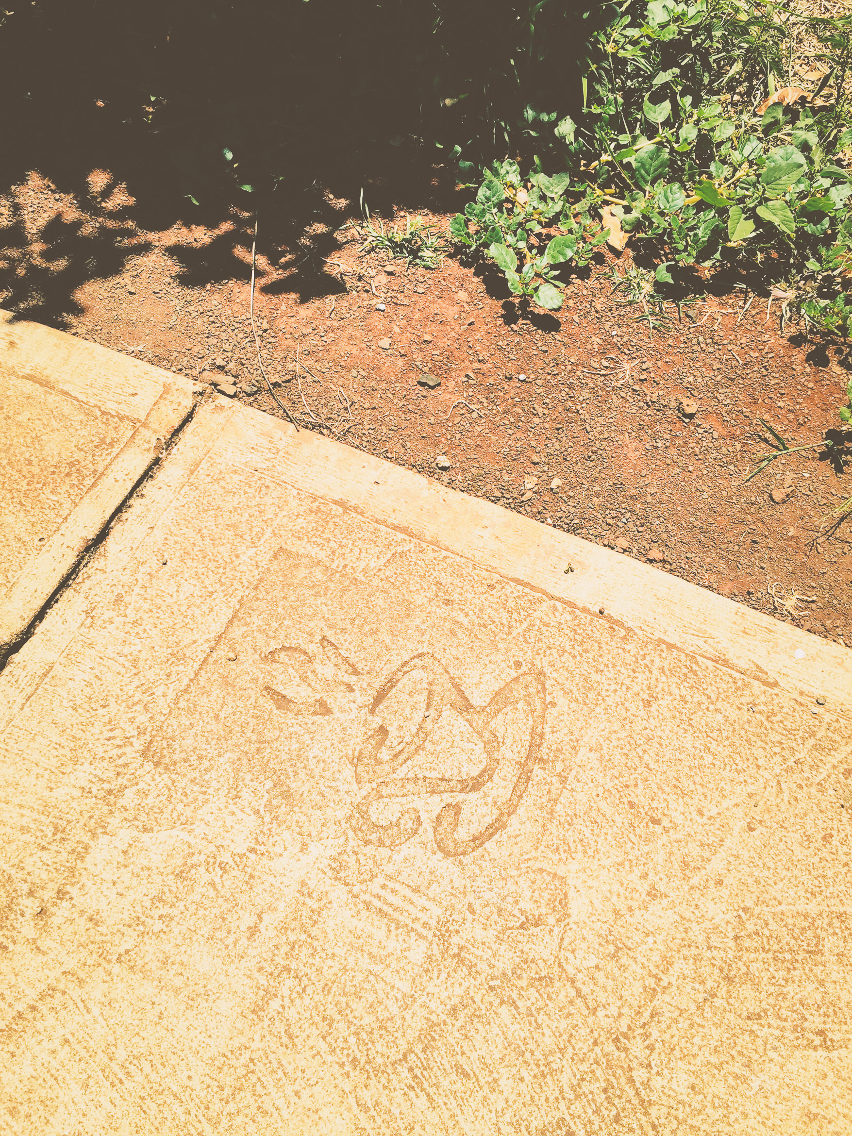 hawaii kauai island life