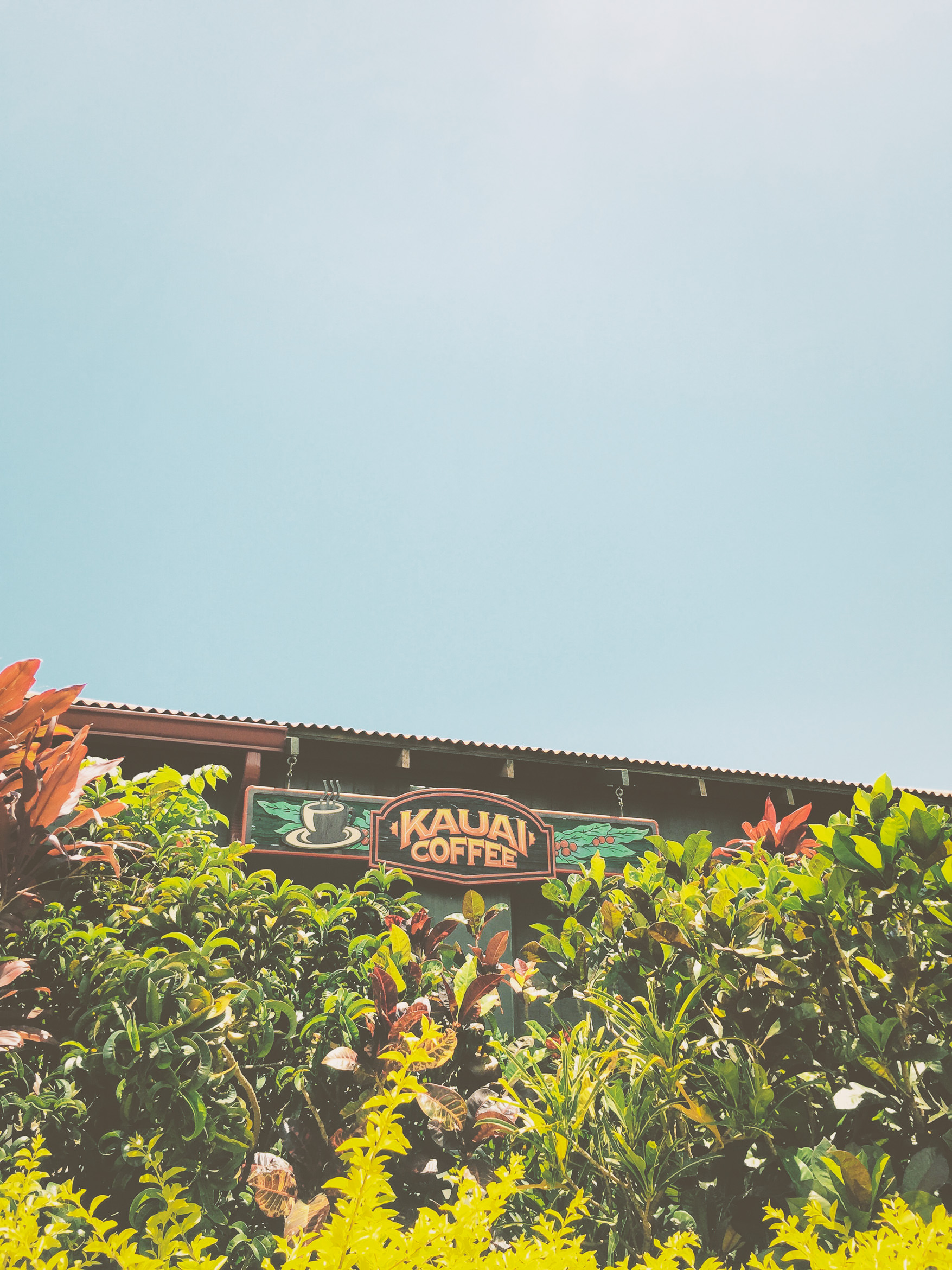 hawaii kauai island life