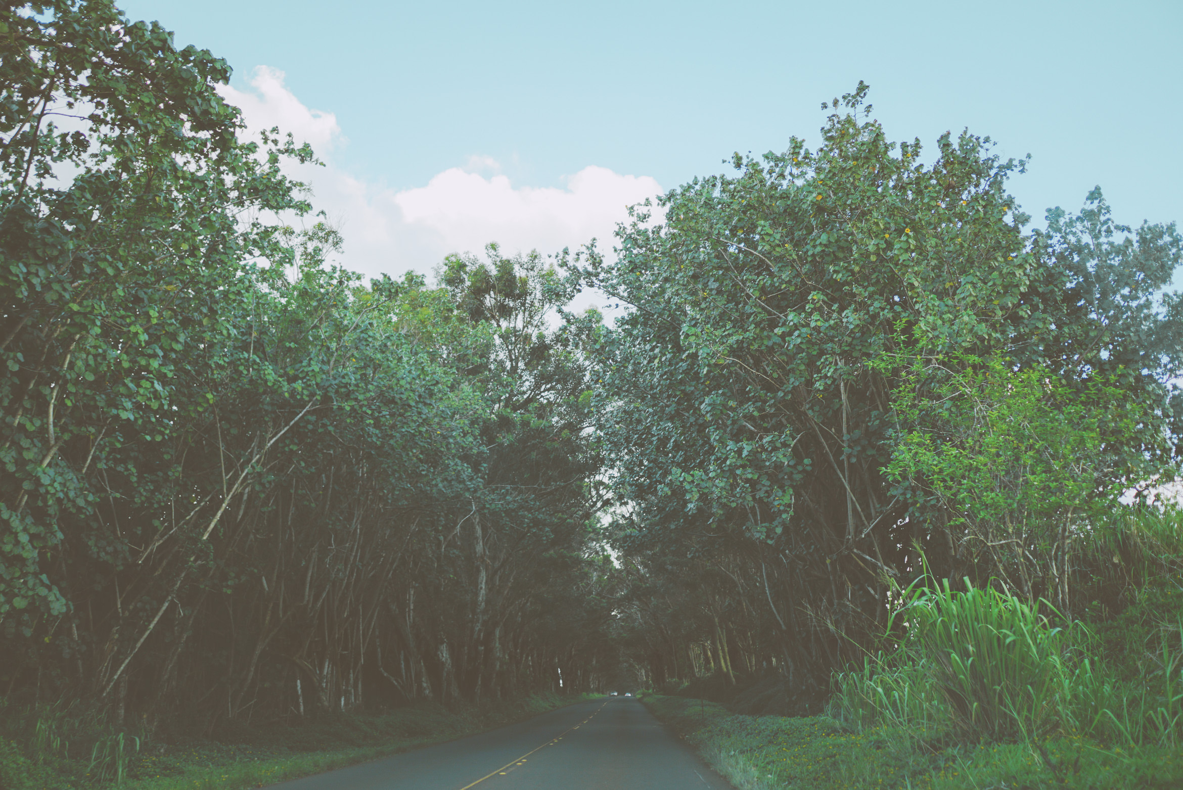 hawaii kauai island life