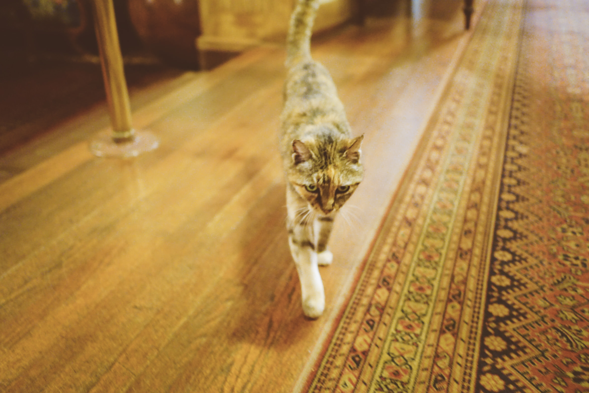 hawaii kauai island life