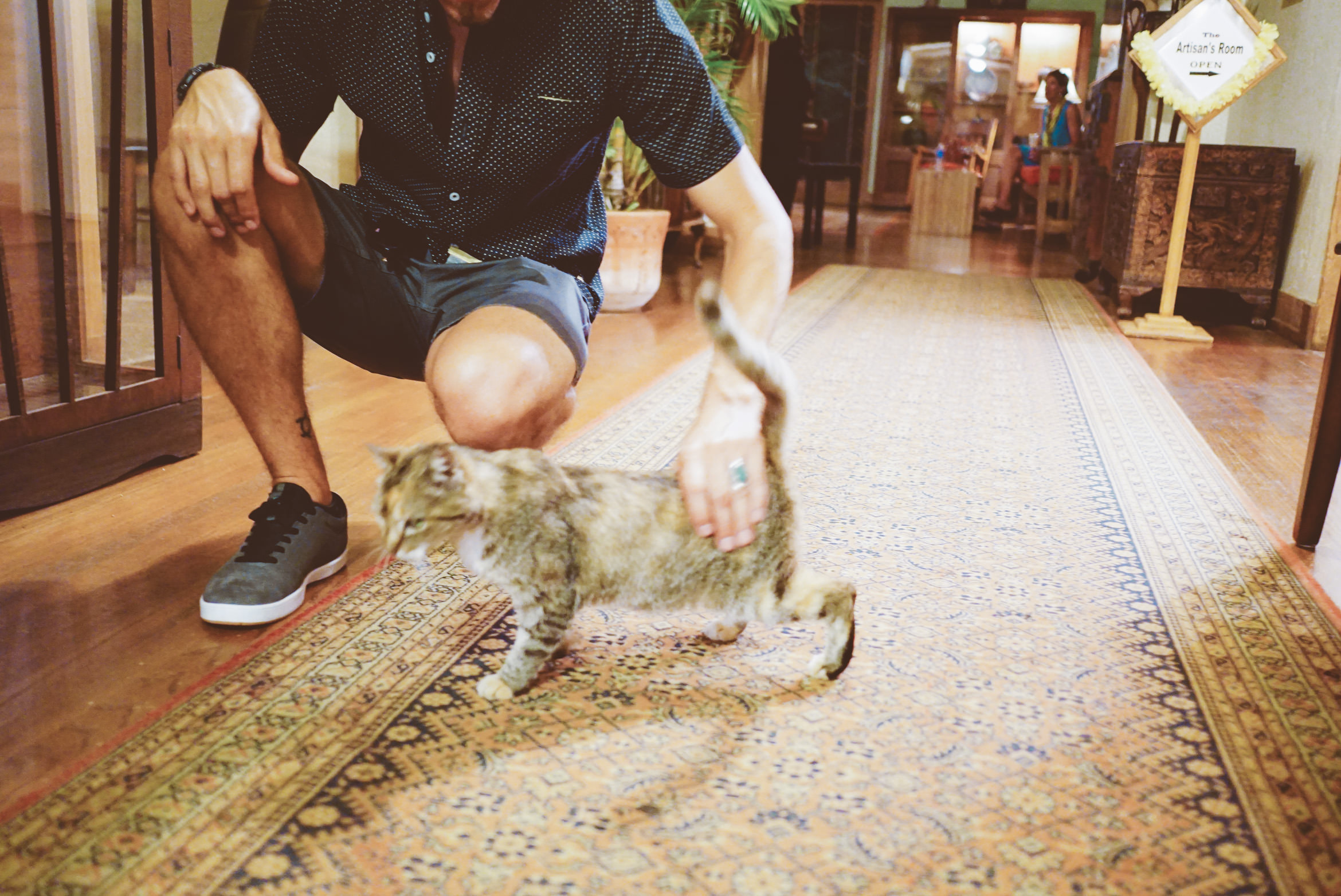 hawaii kauai island life