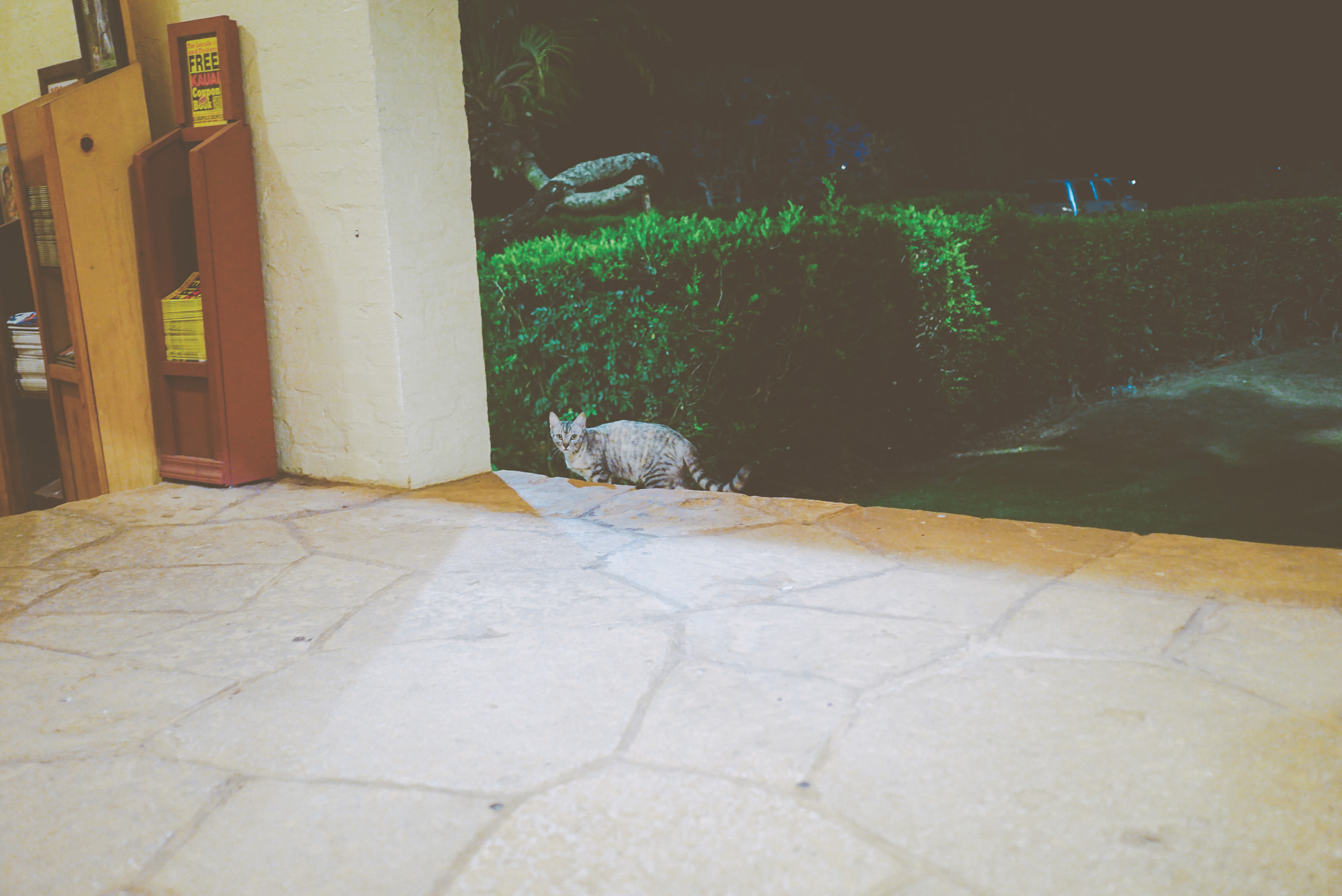 hawaii kauai island life