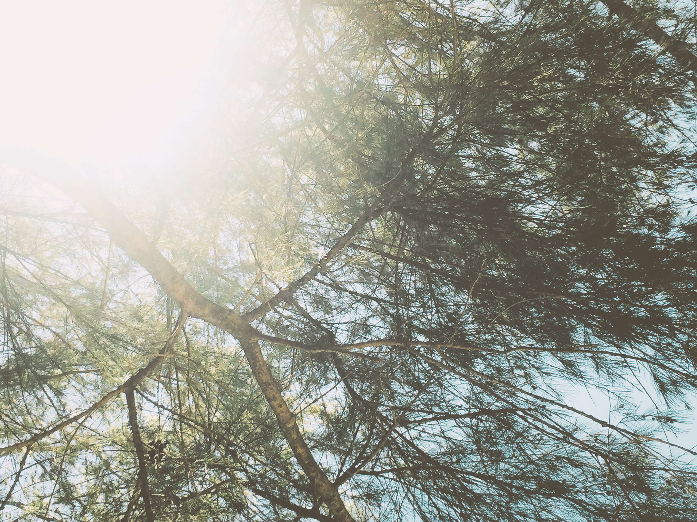 hawaii kauai kamala point