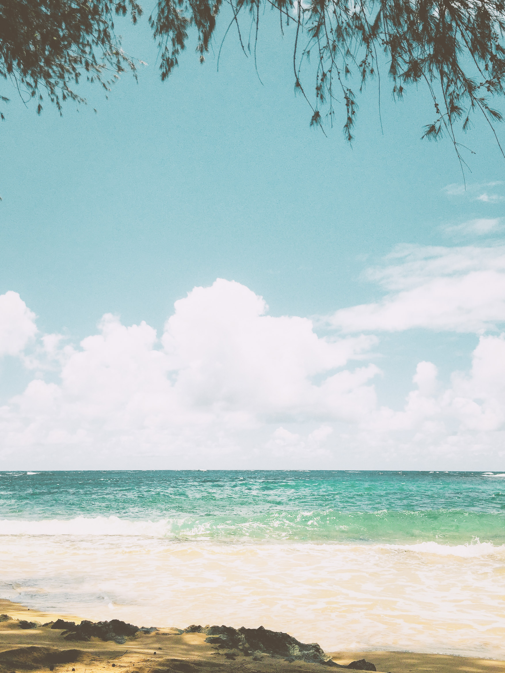 hawaii kauai kamala point