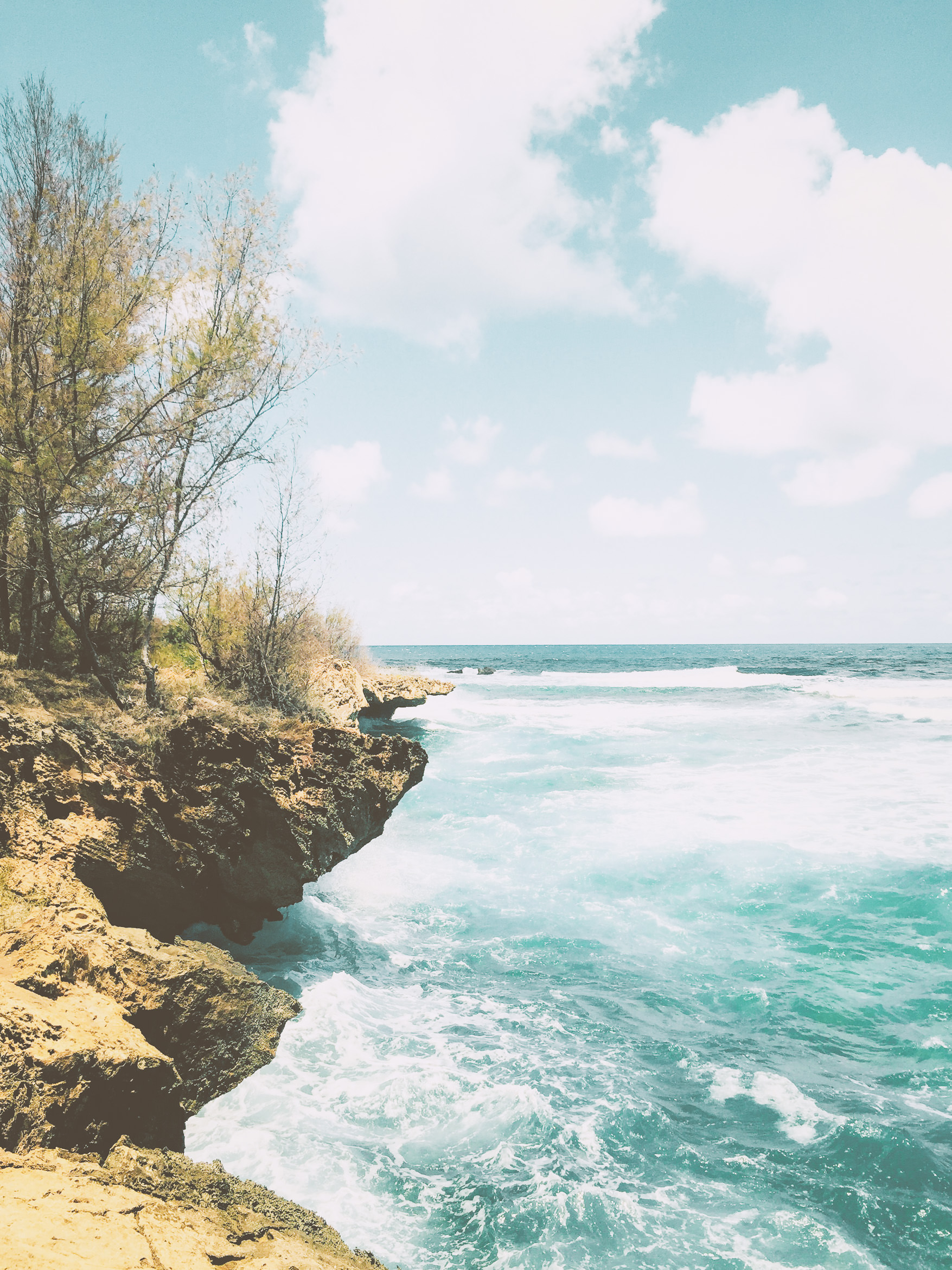hawaii kauai kamala point