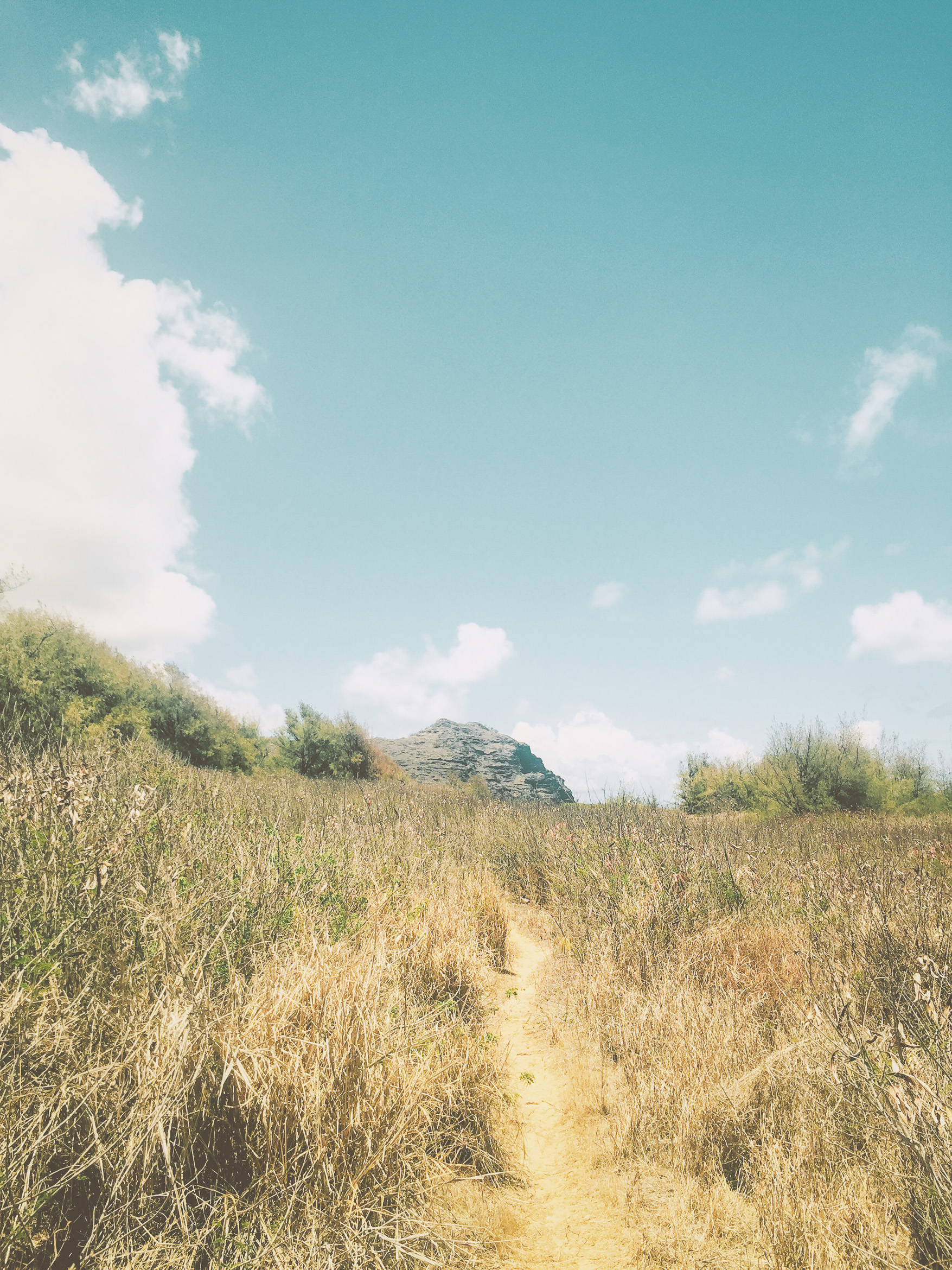 hawaii kauai kamala point