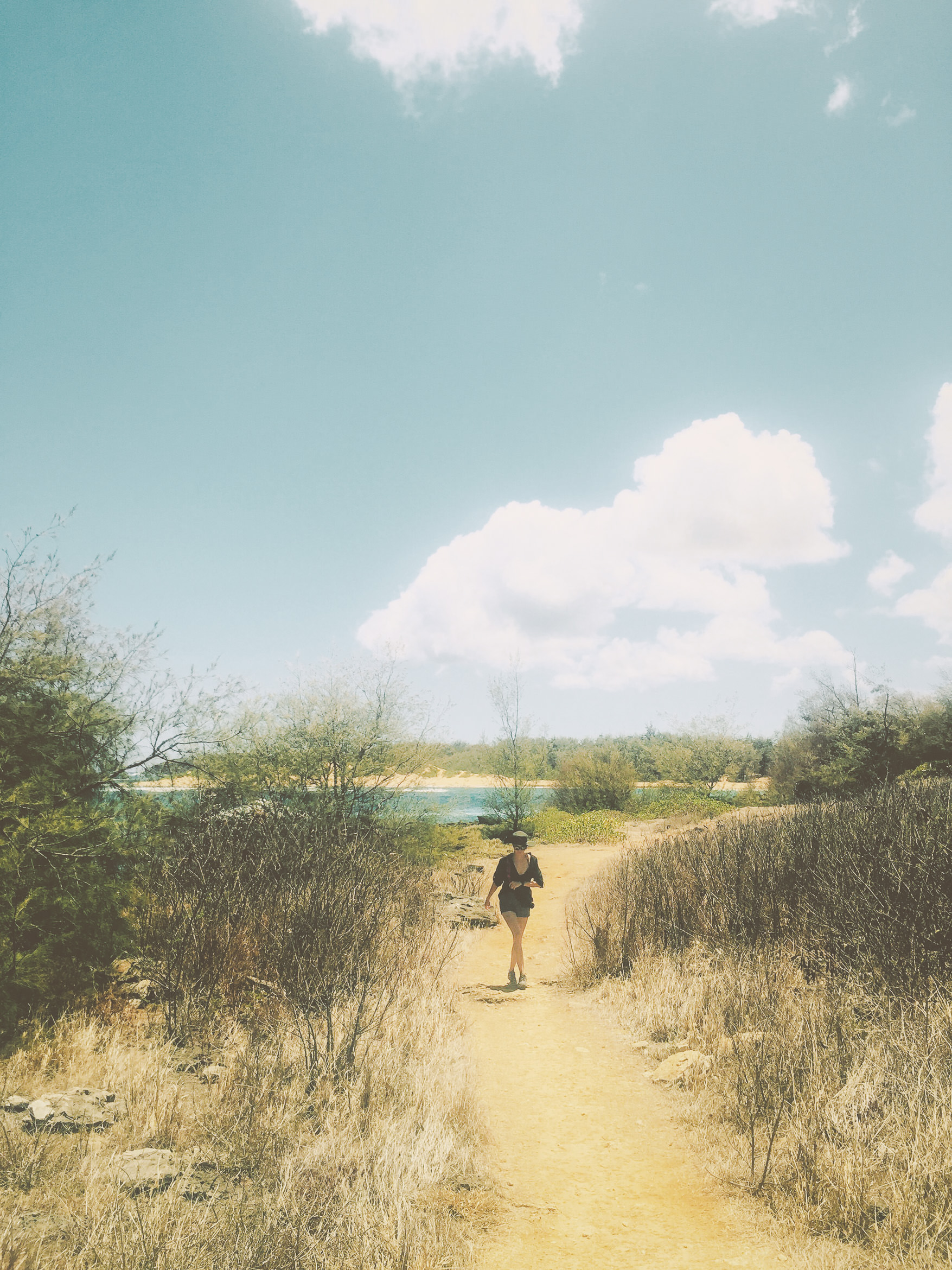 hawaii kauai kamala point