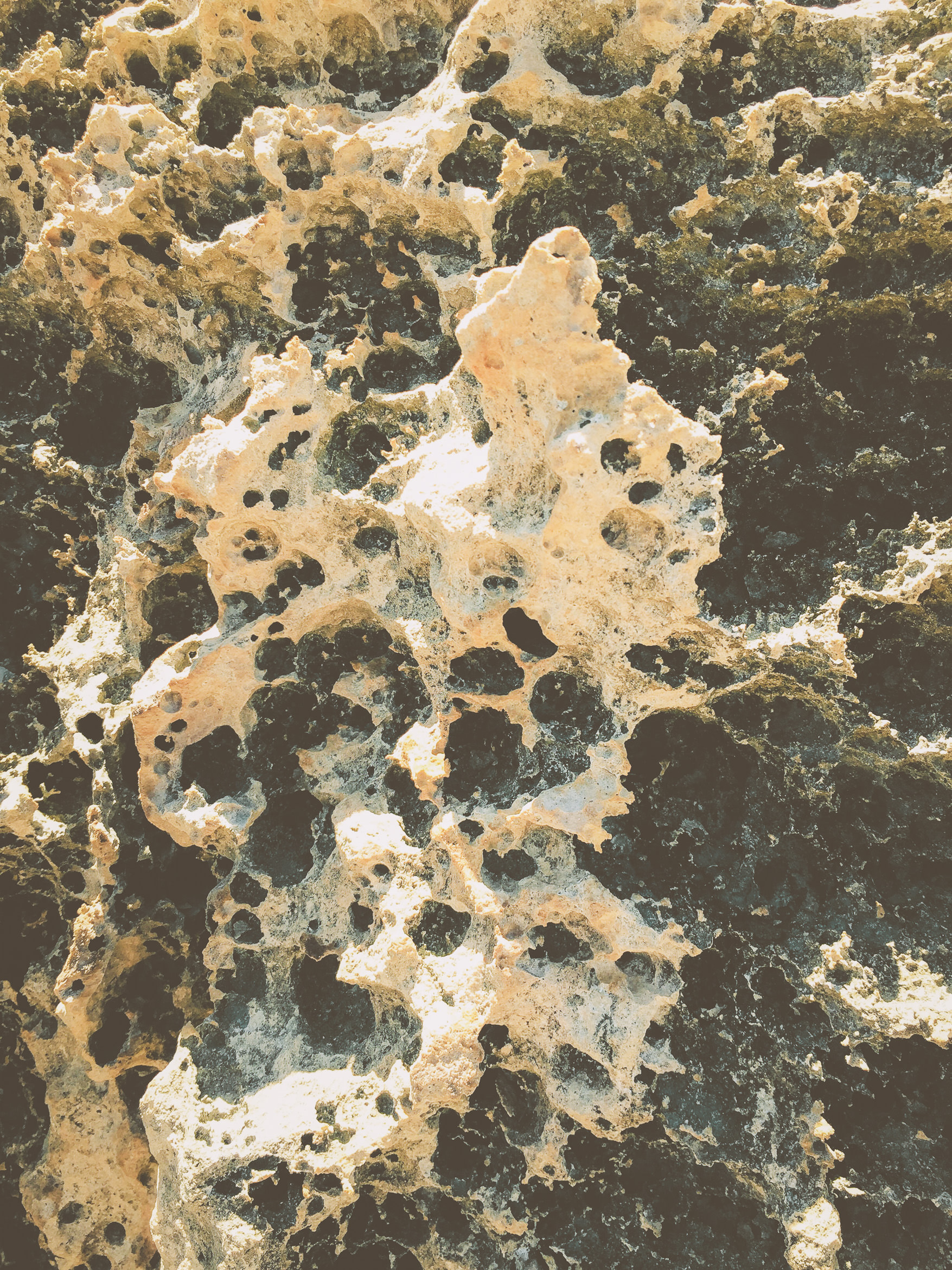 hawaii kauai kamala point