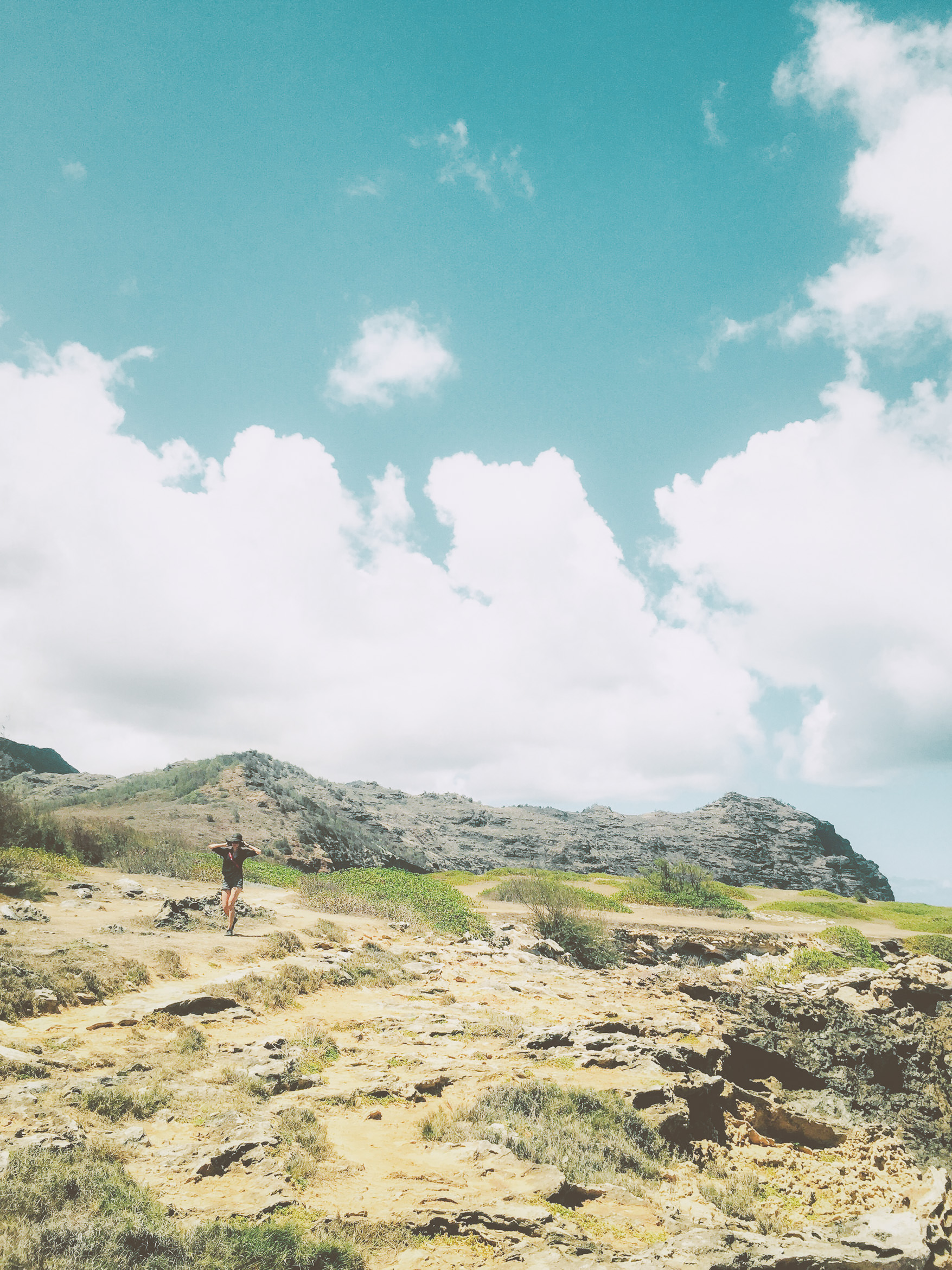 hawaii kauai kamala point