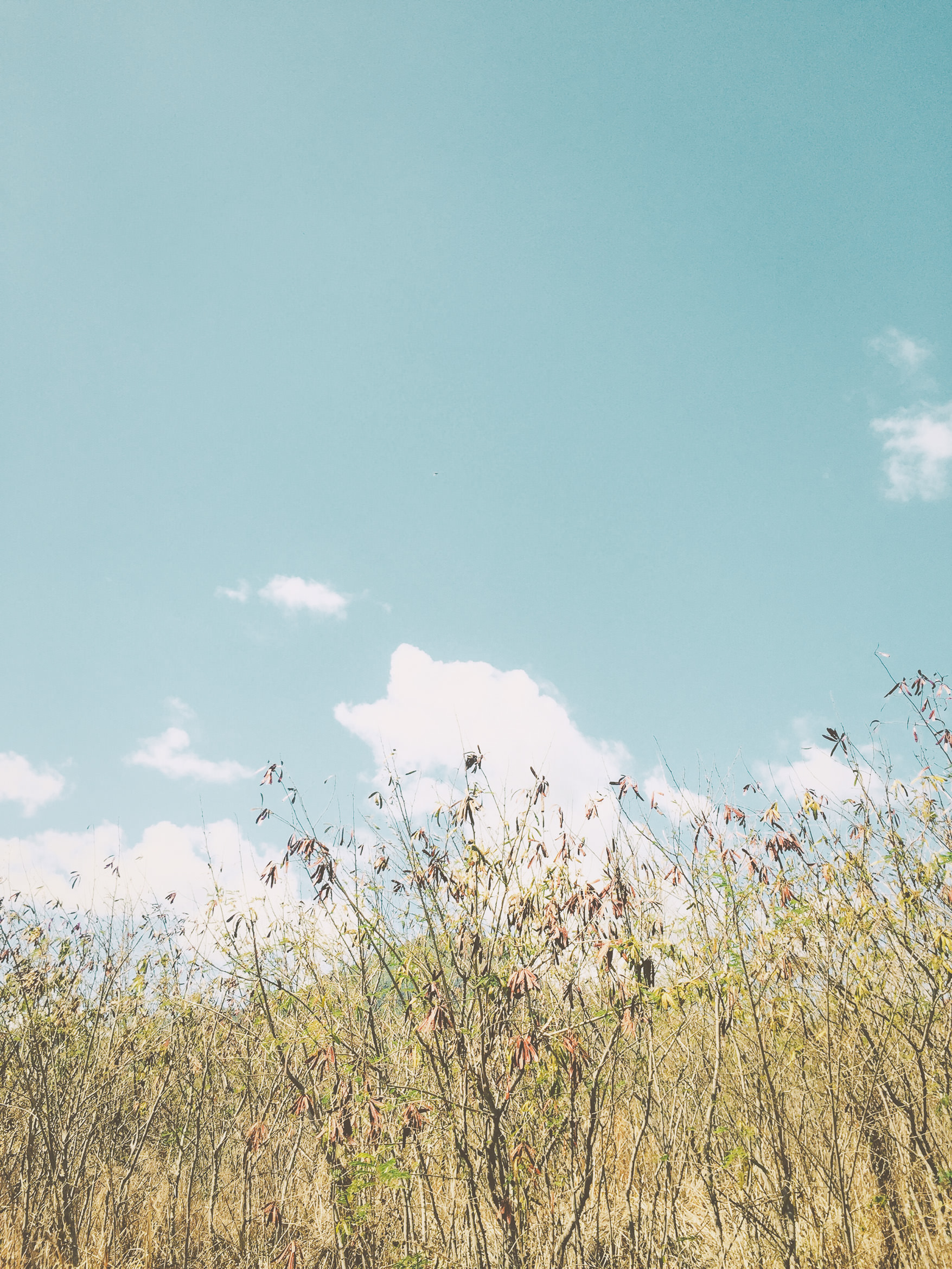 hawaii kauai kamala point