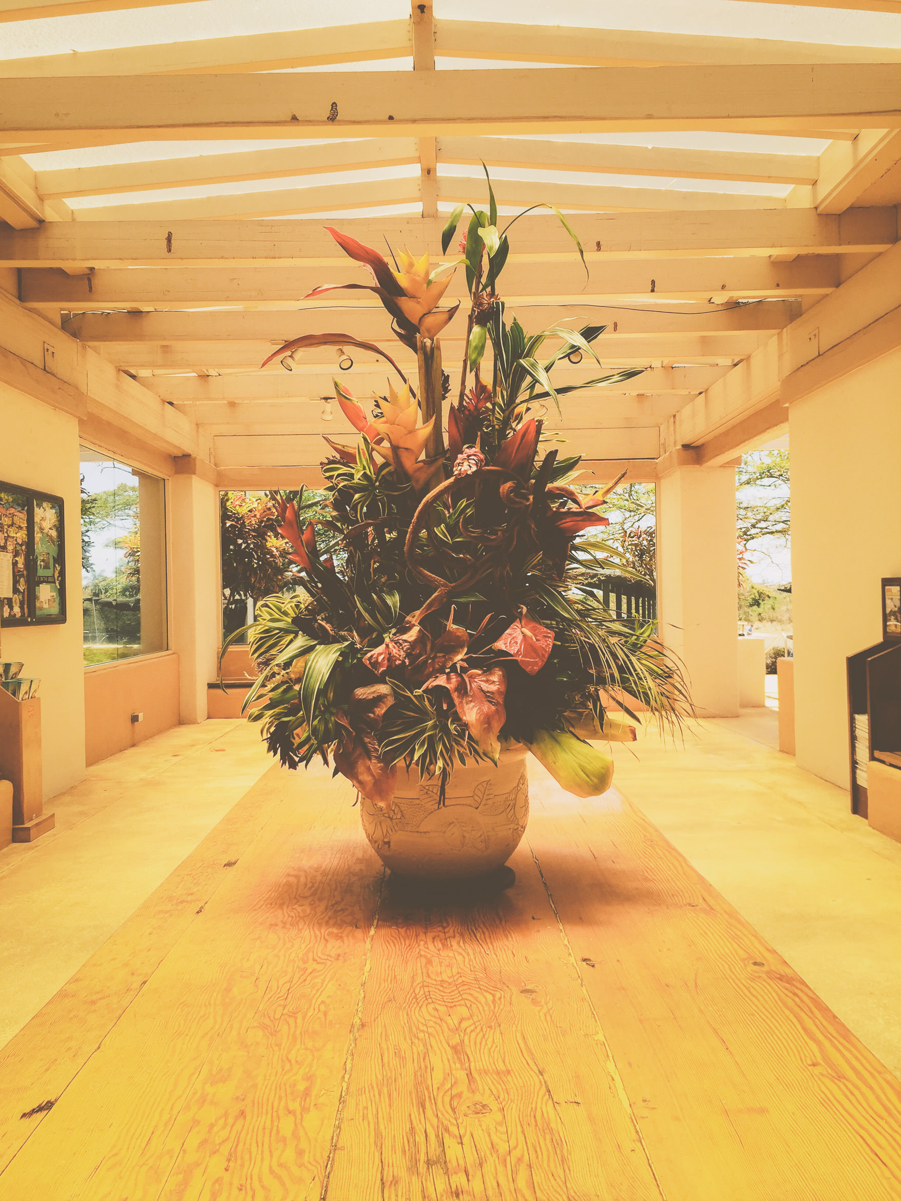 hawaii kauai south shore