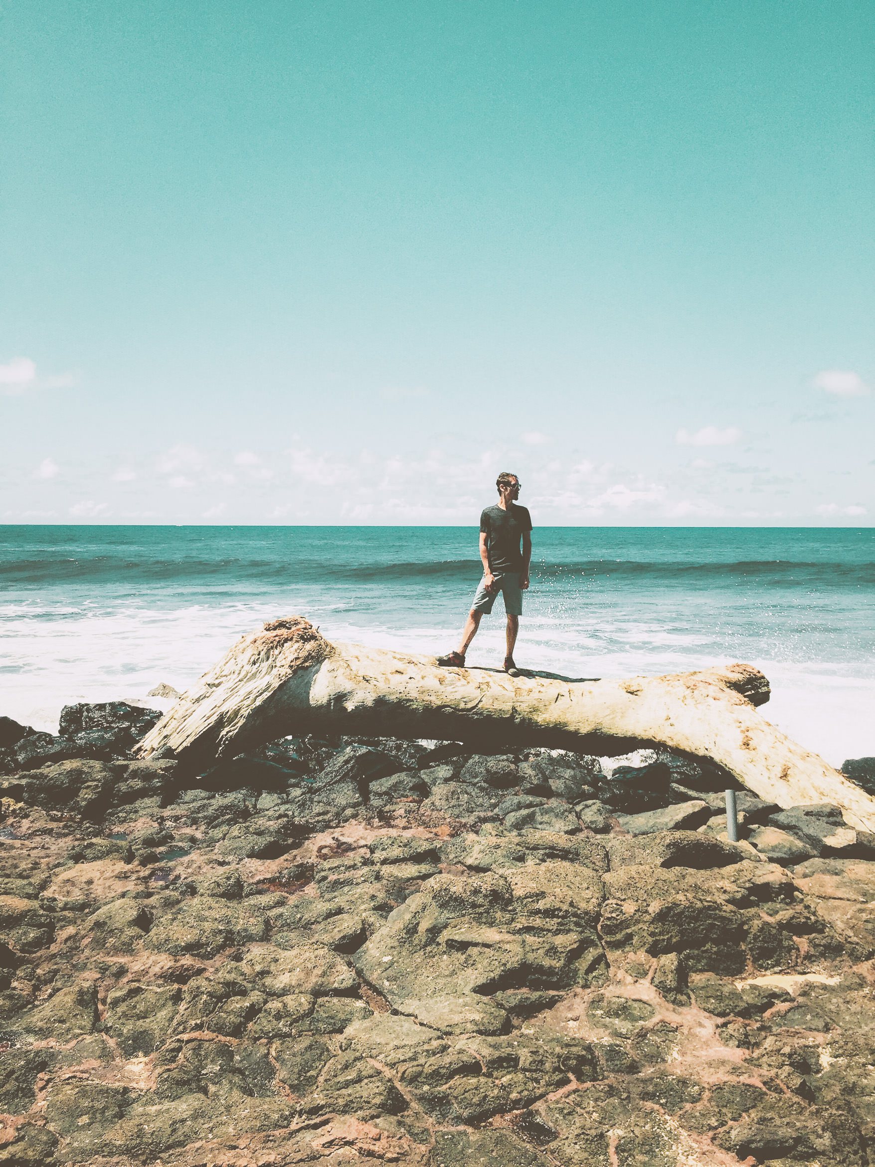 hawaii kauai south shore