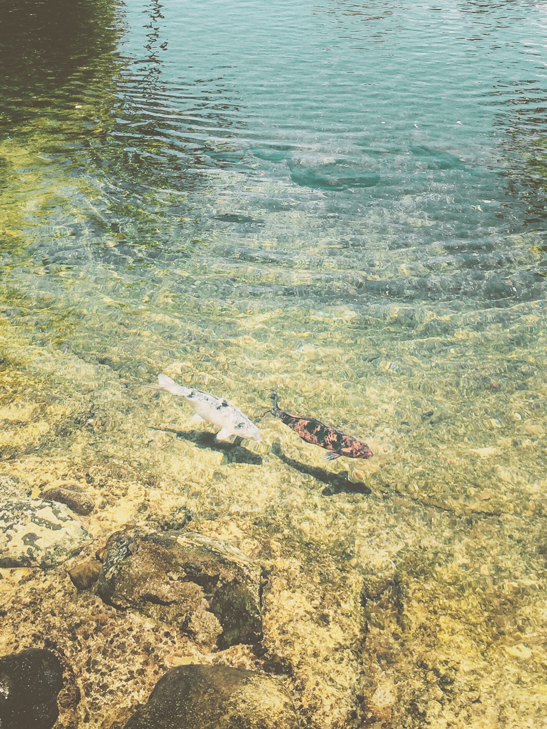 hawaii kauai south shore