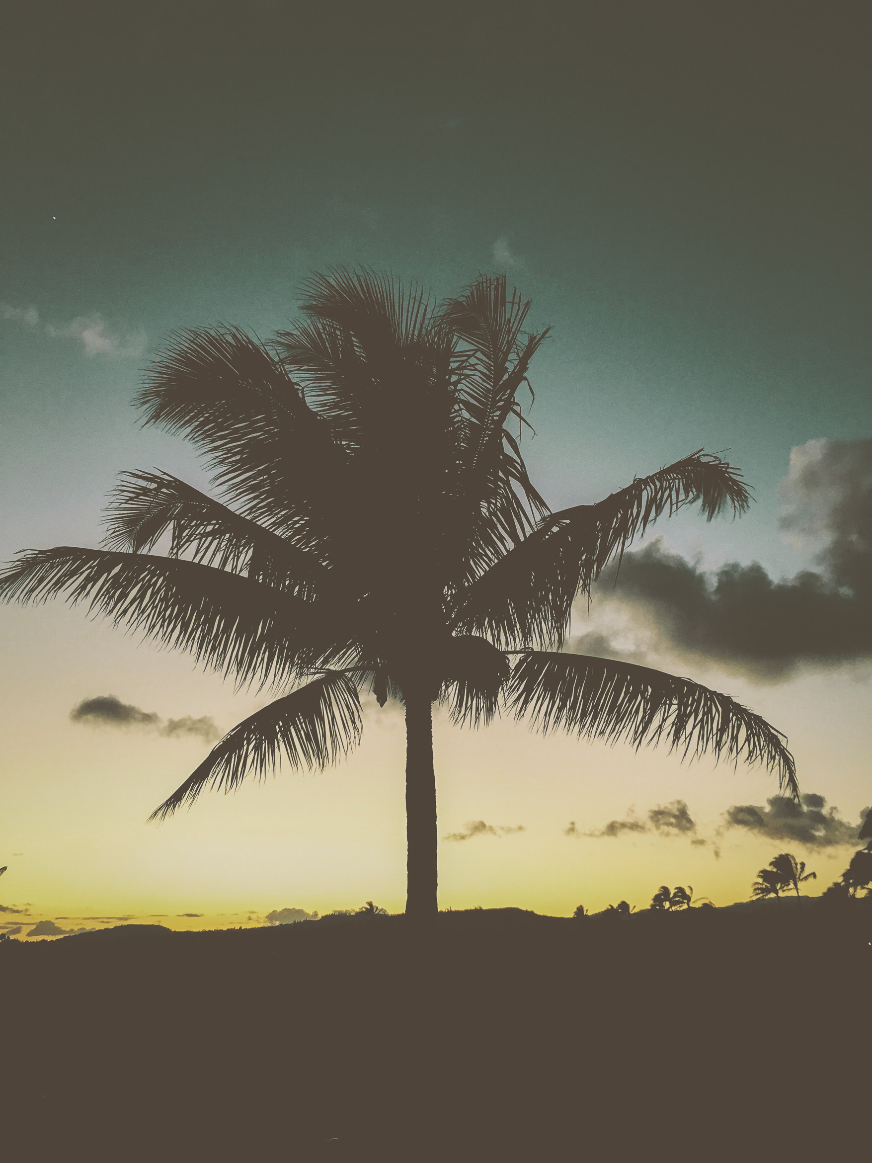 hawaii kauai south shore