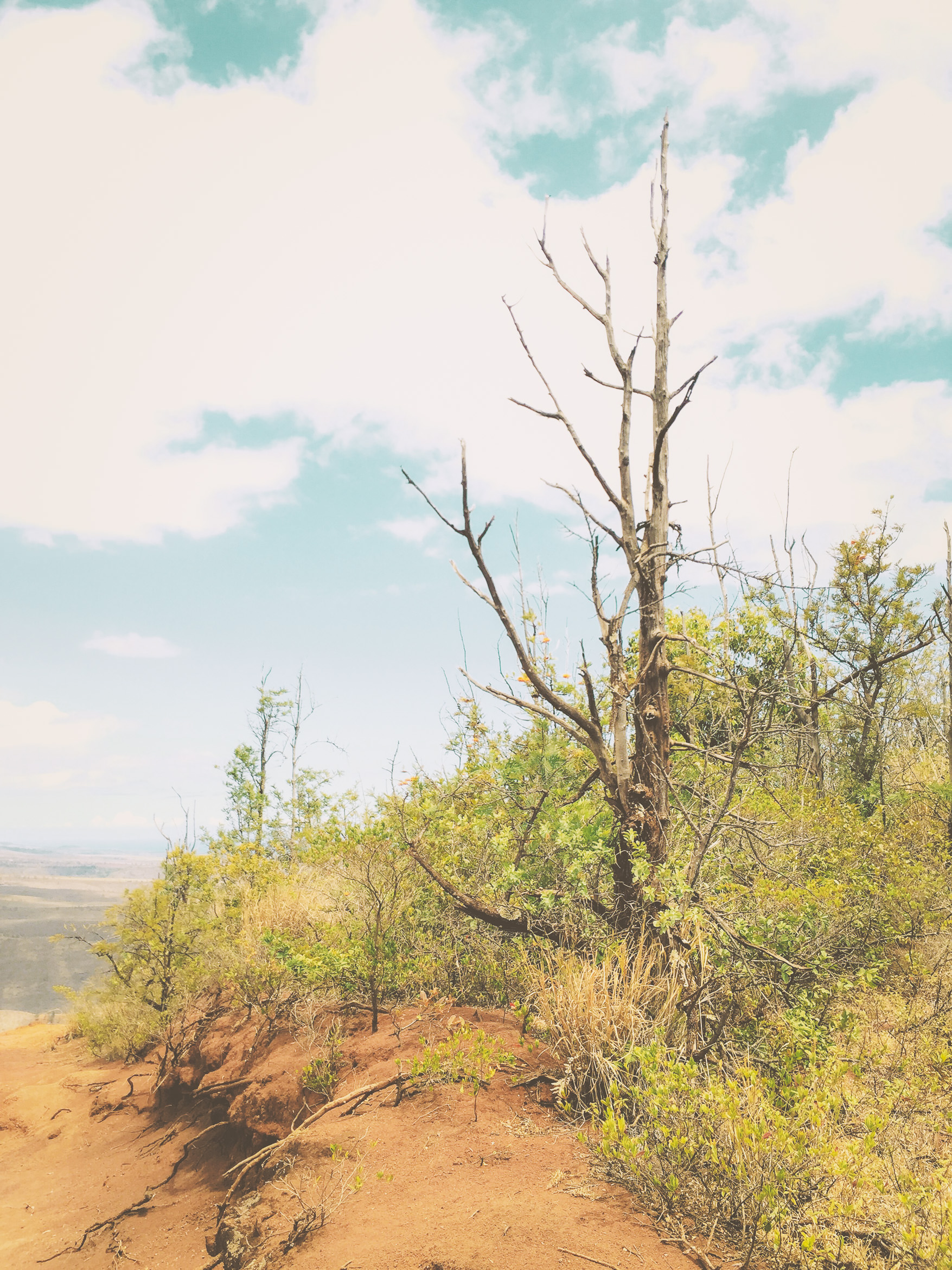 hawaii kauai waimea canyon