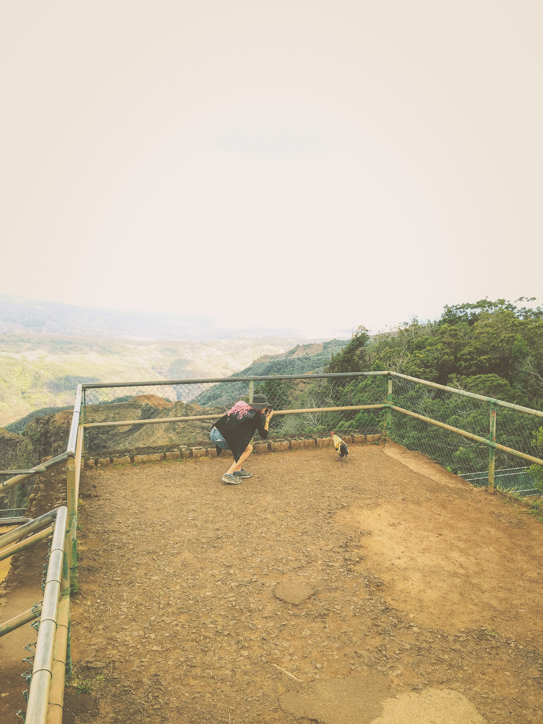 hawaii kauai waimea canyon