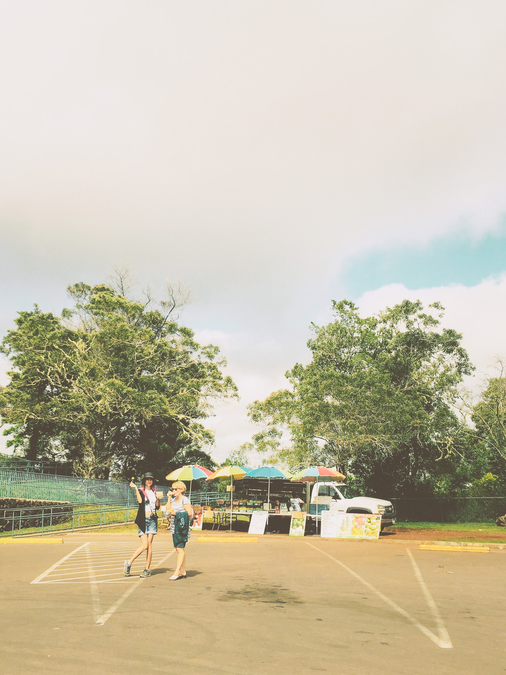 hawaii kauai waimea canyon