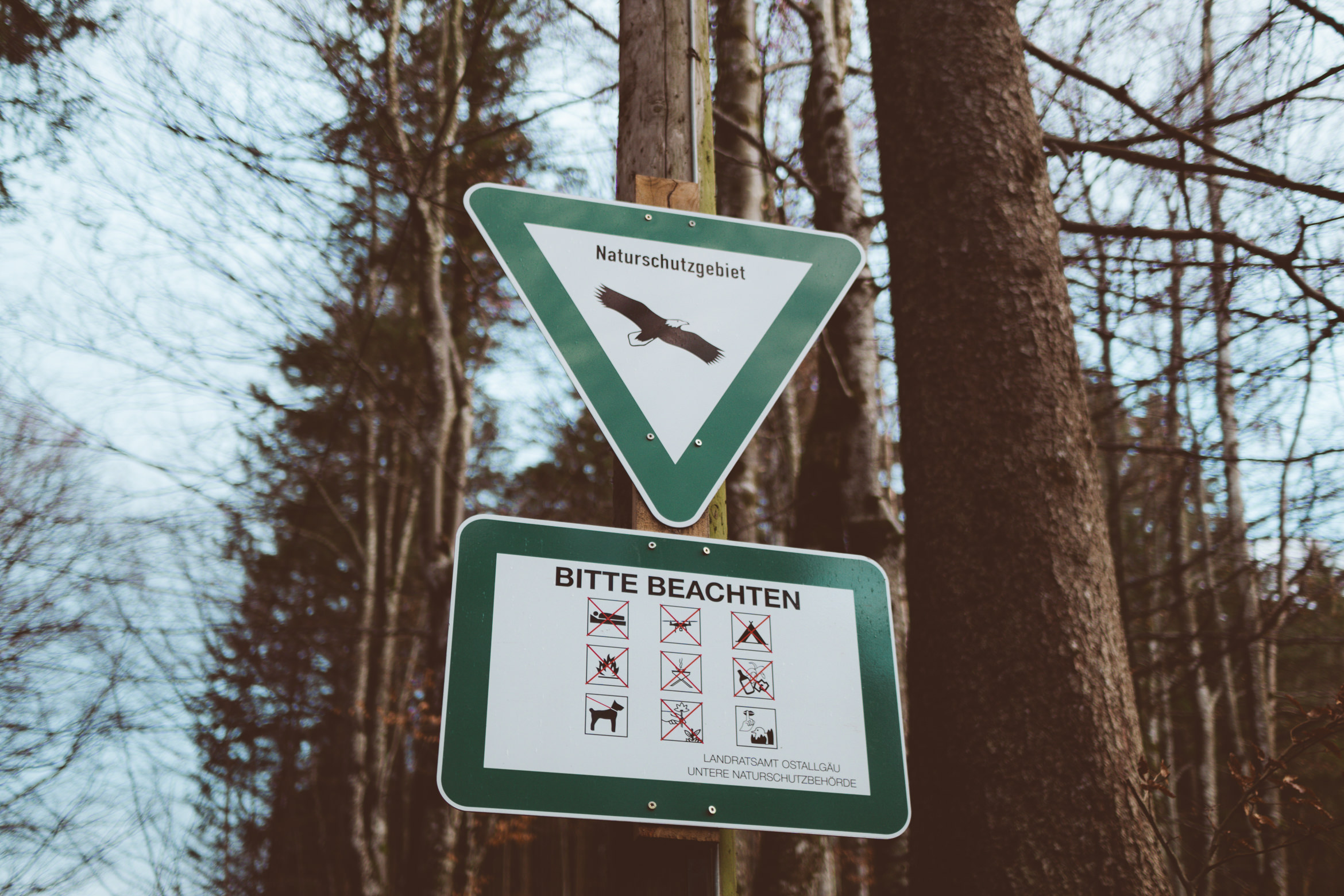 Schloss Neuschwanstein