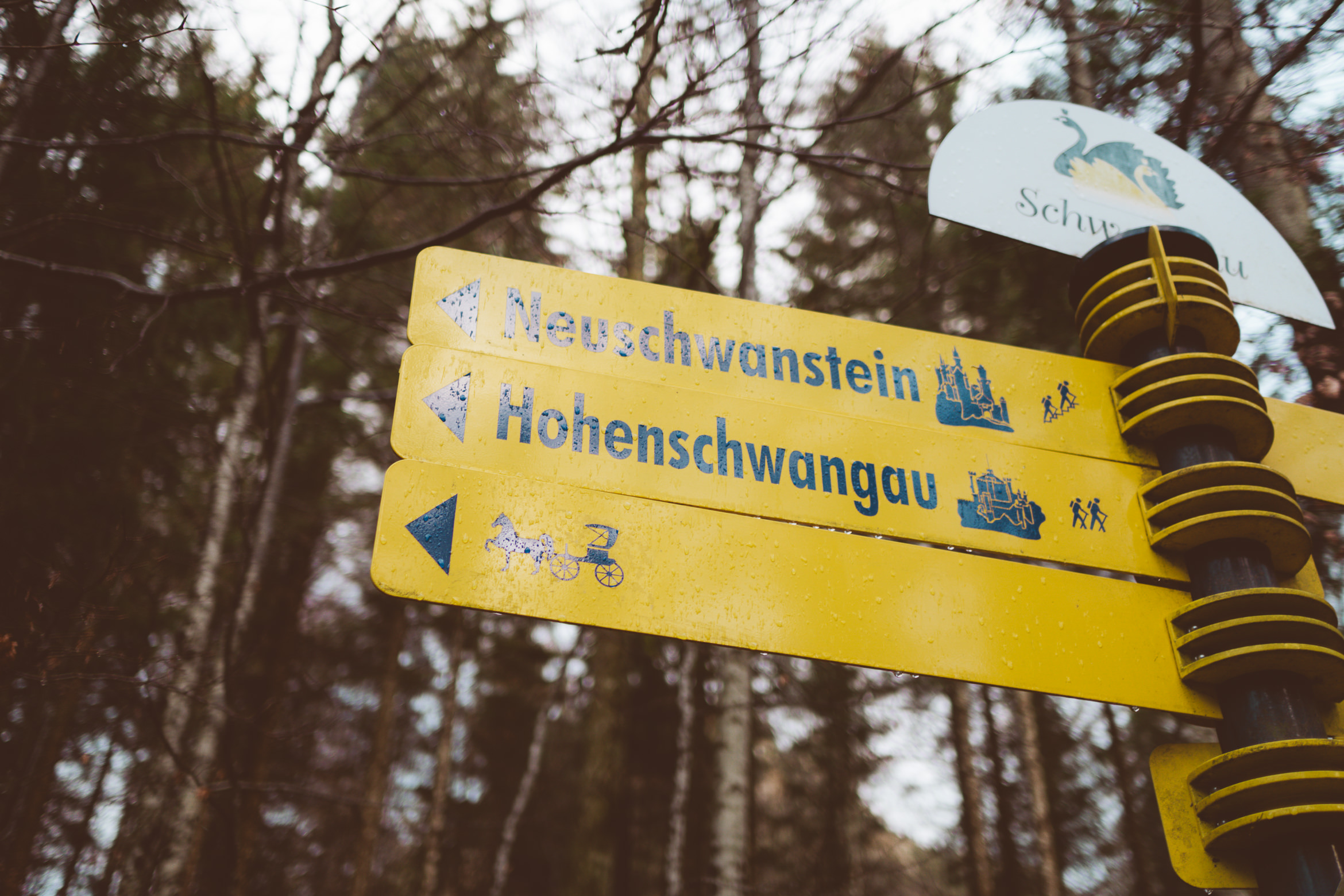 Schloss Neuschwanstein