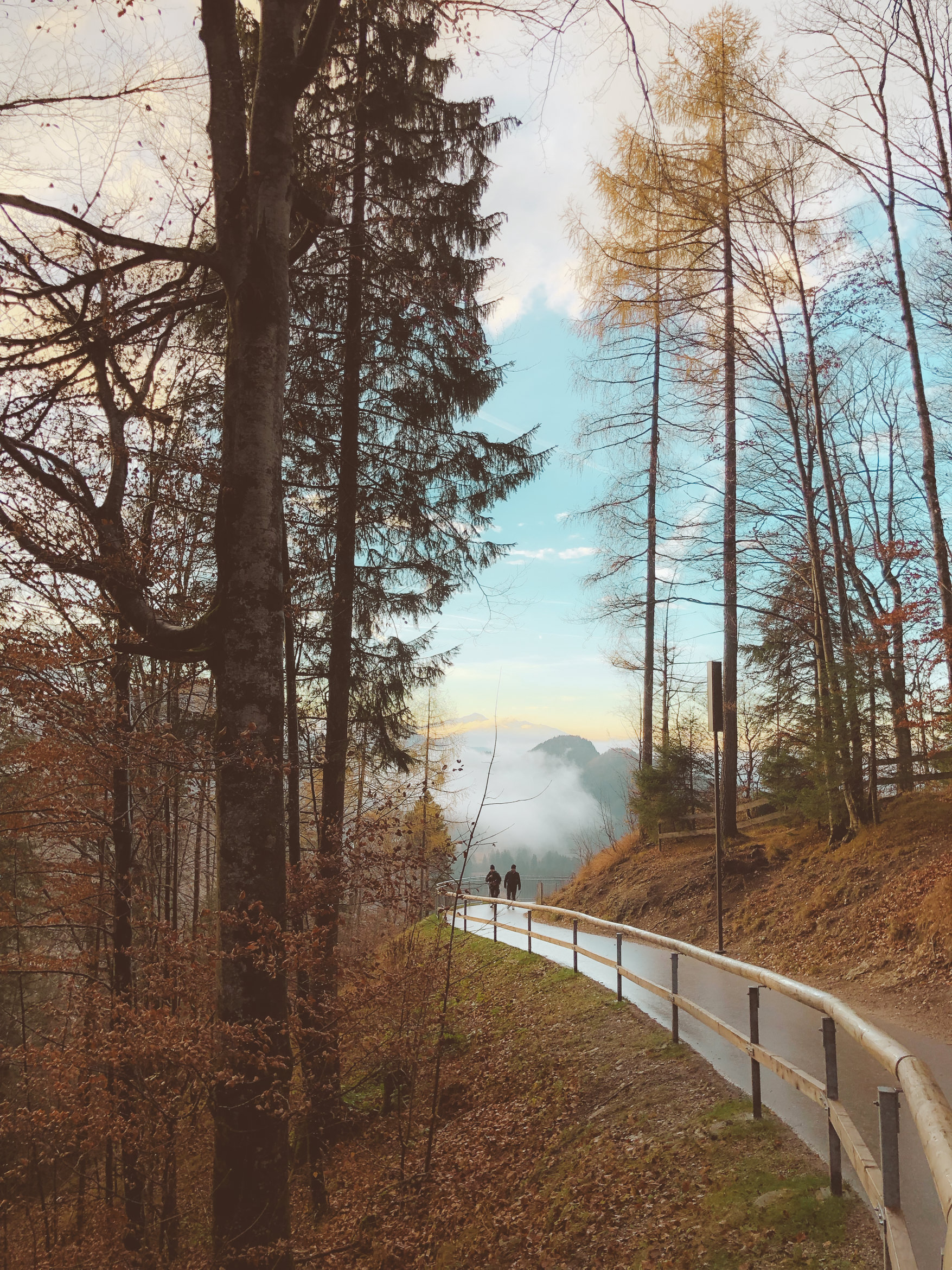 Schloss Neuschwanstein