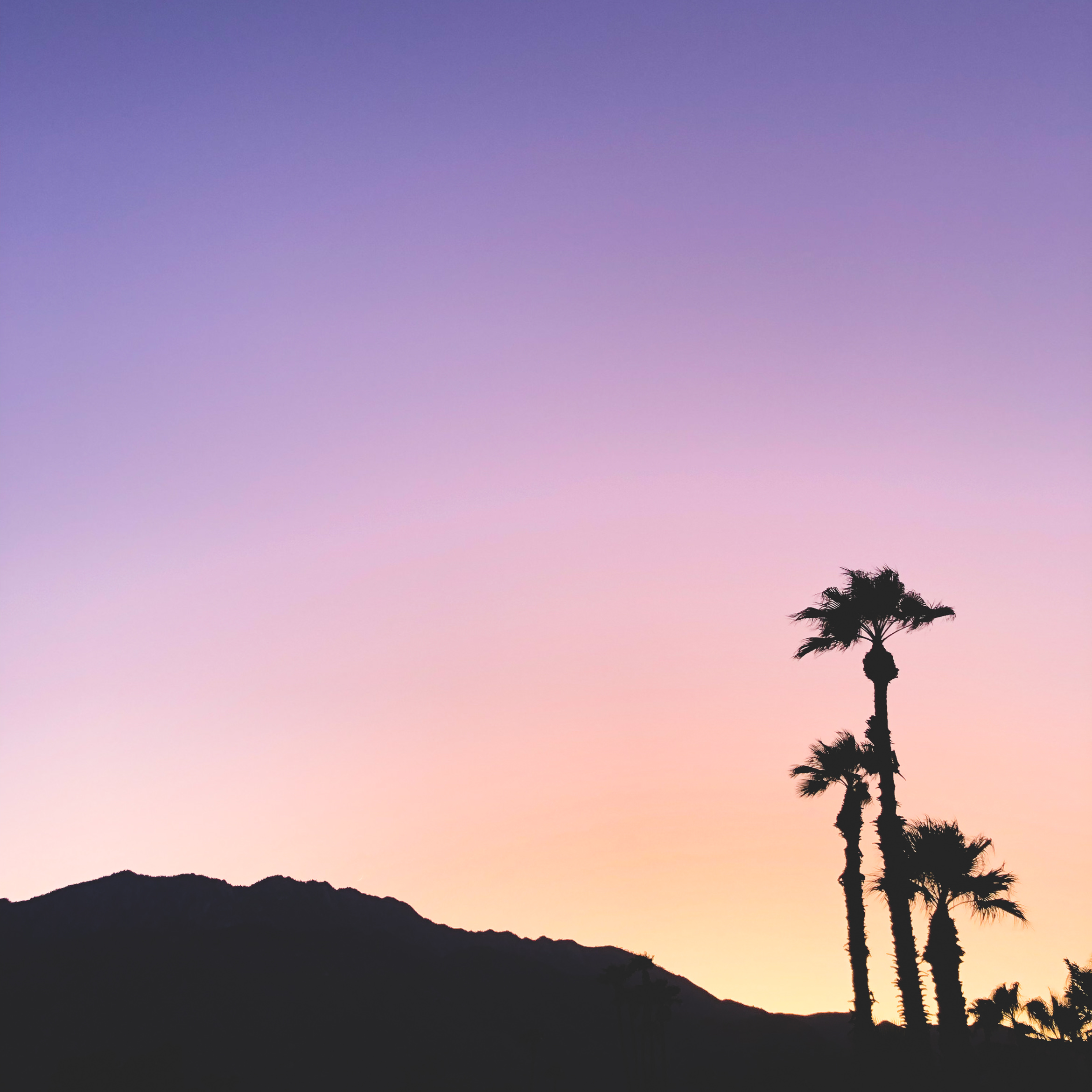 _california_desert_amboy