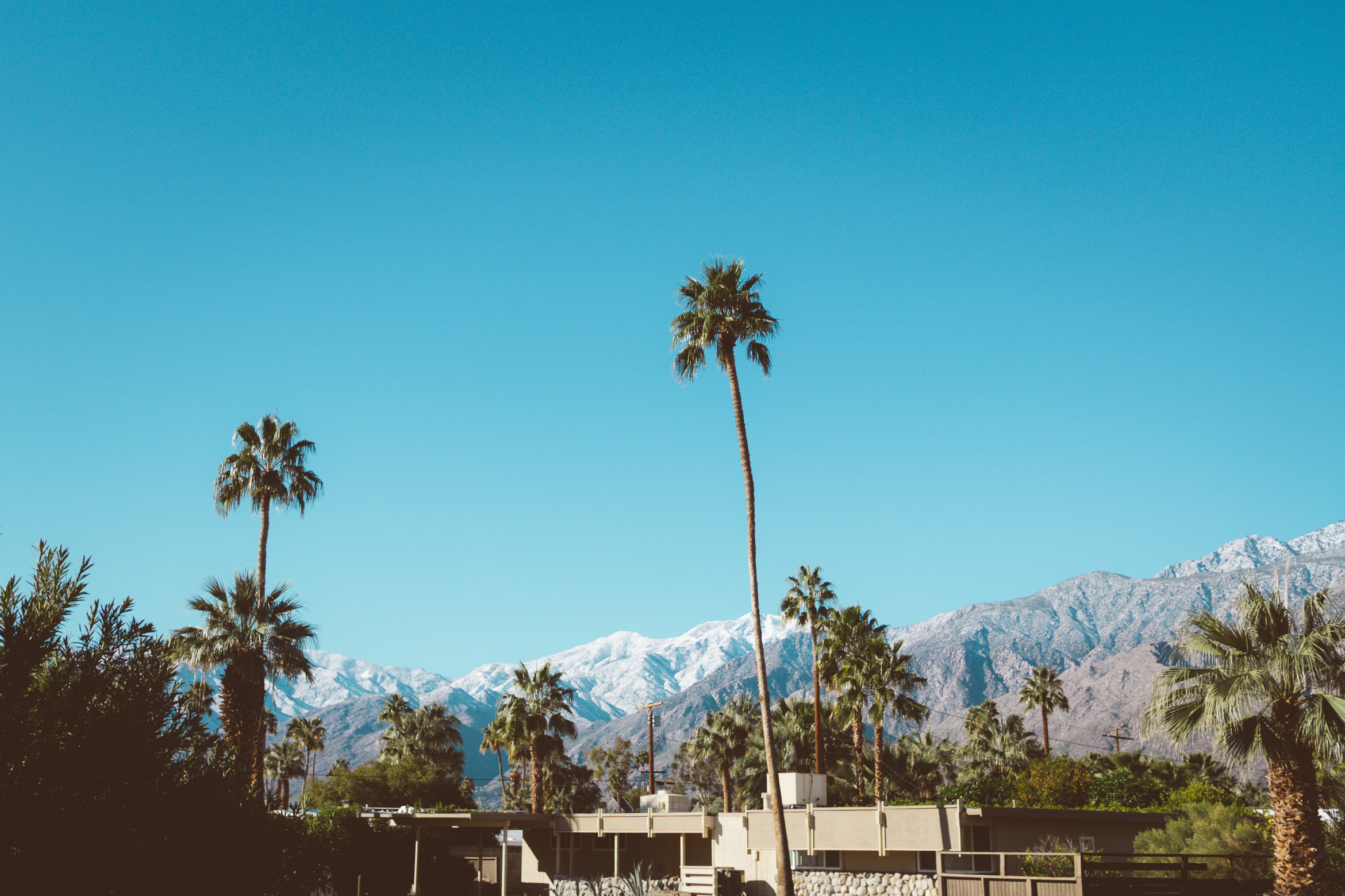 palmsprings_airlanehaus