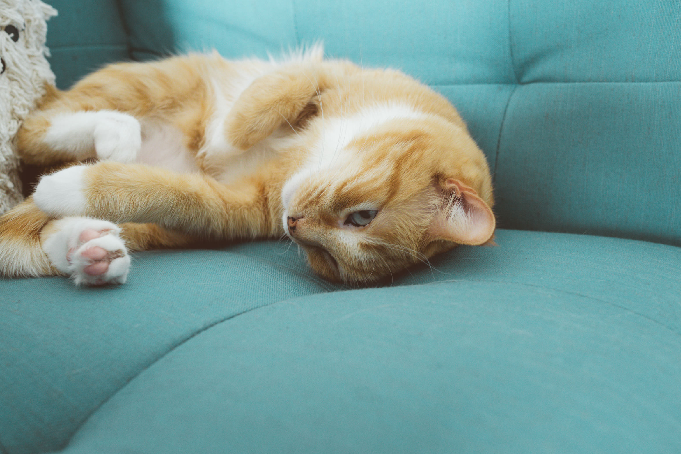 palmsprings_airlanehaus