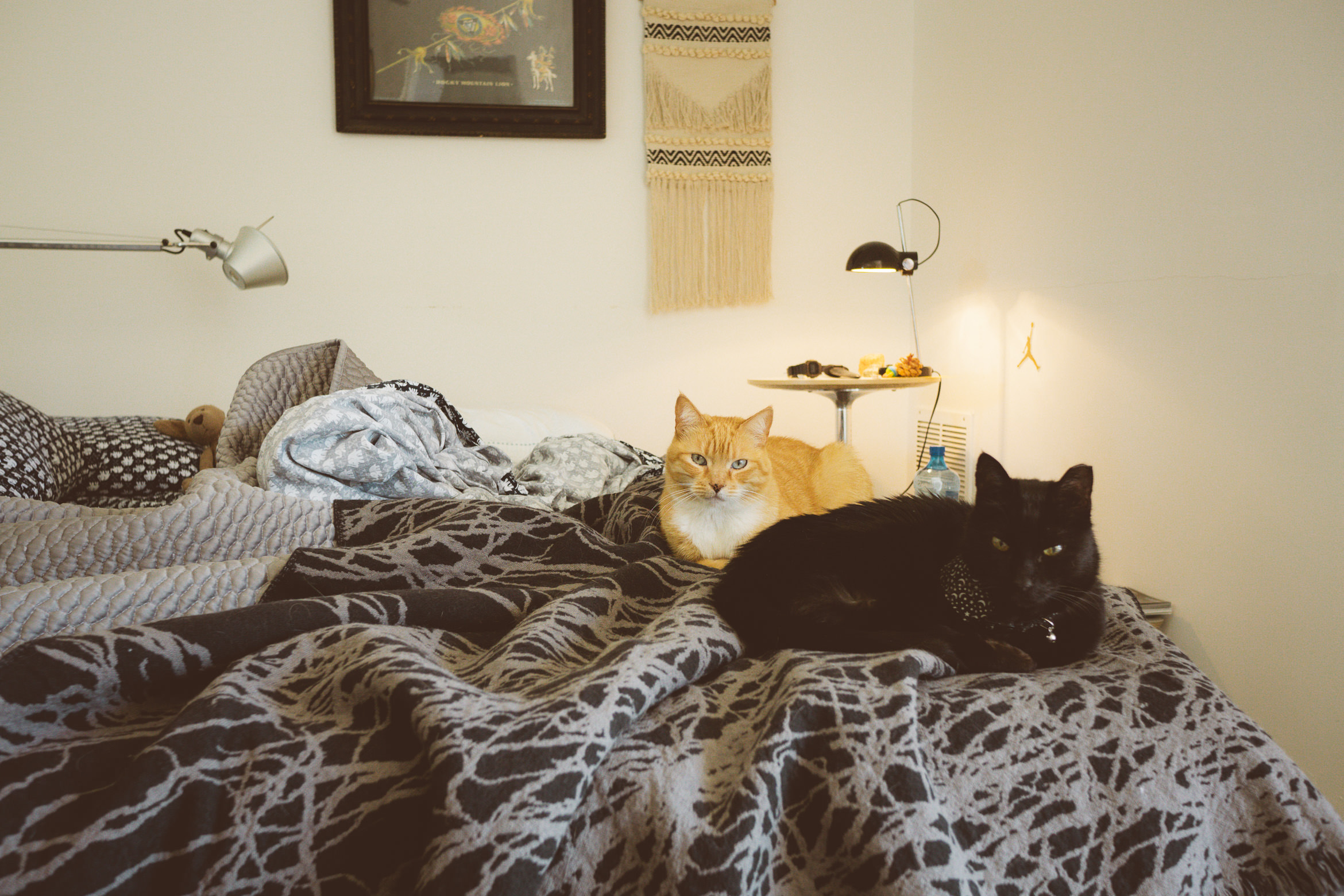 palmsprings_airlanehaus