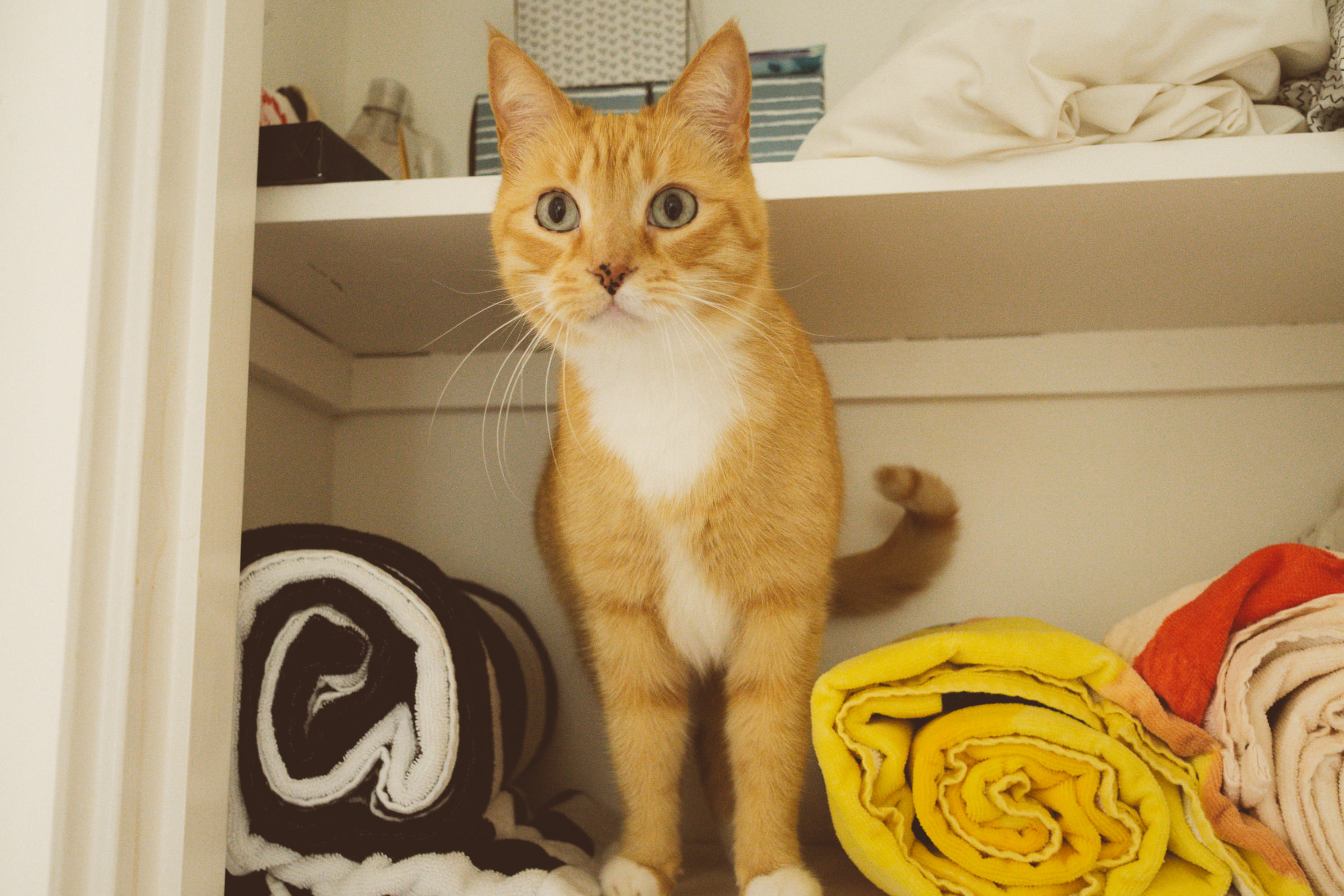 palmsprings_airlanehaus