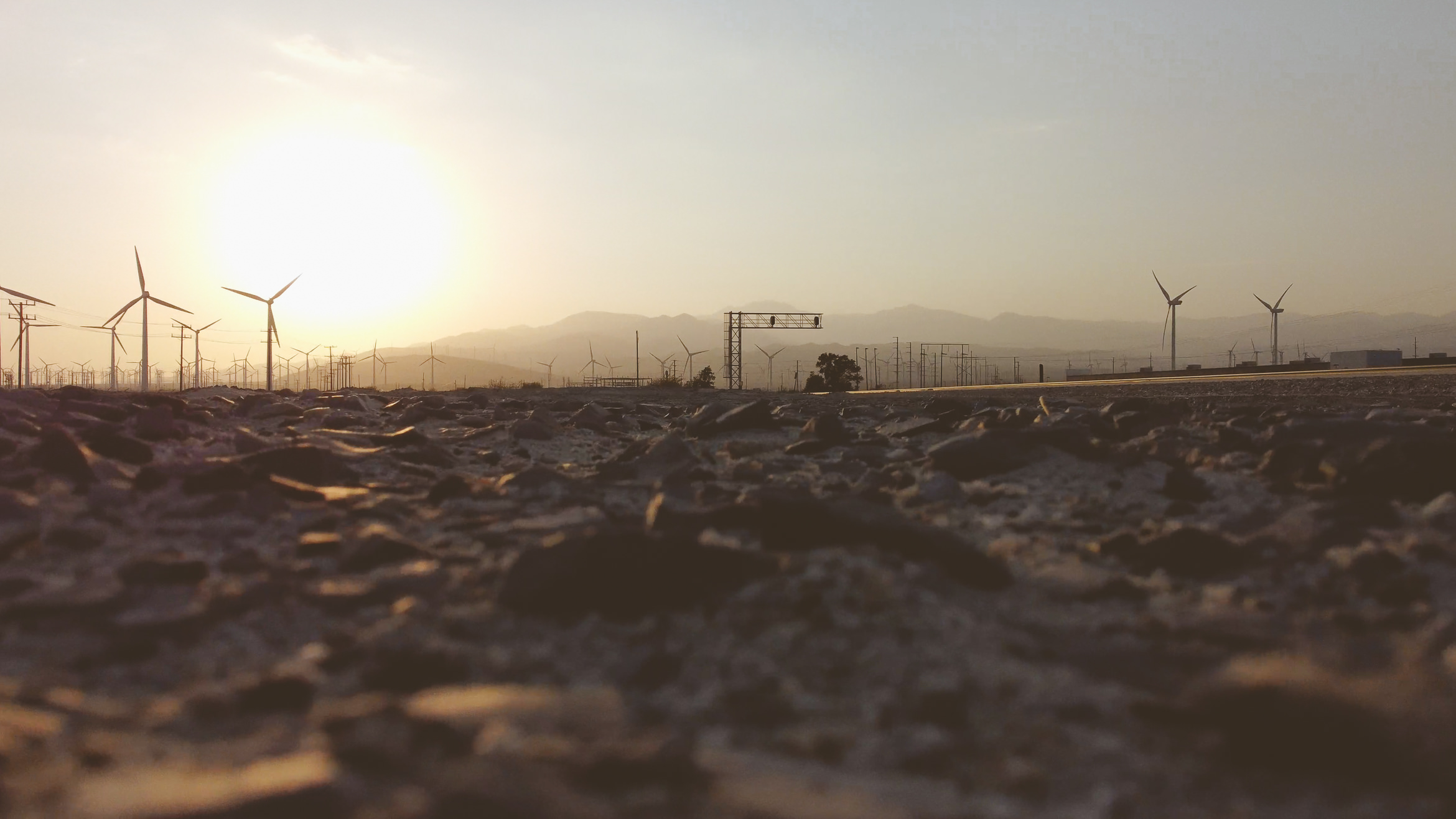 PalmSprings wolfrails