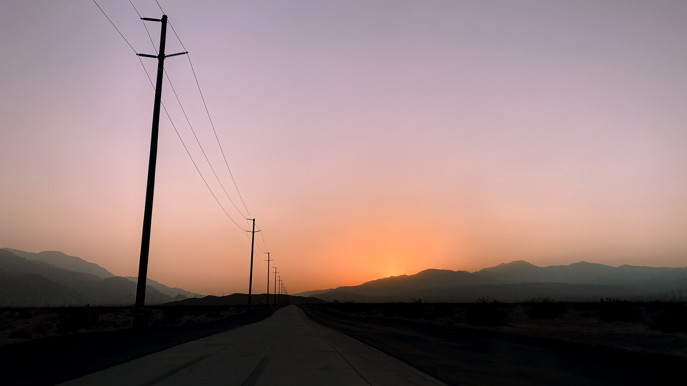 PalmSprings wolfsunset