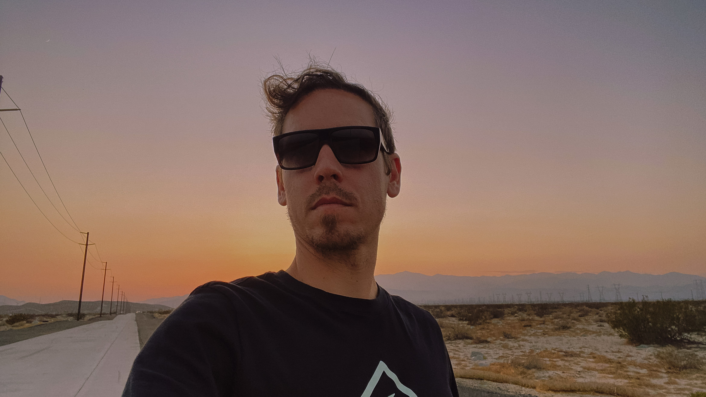 PalmSprings wolfsunset