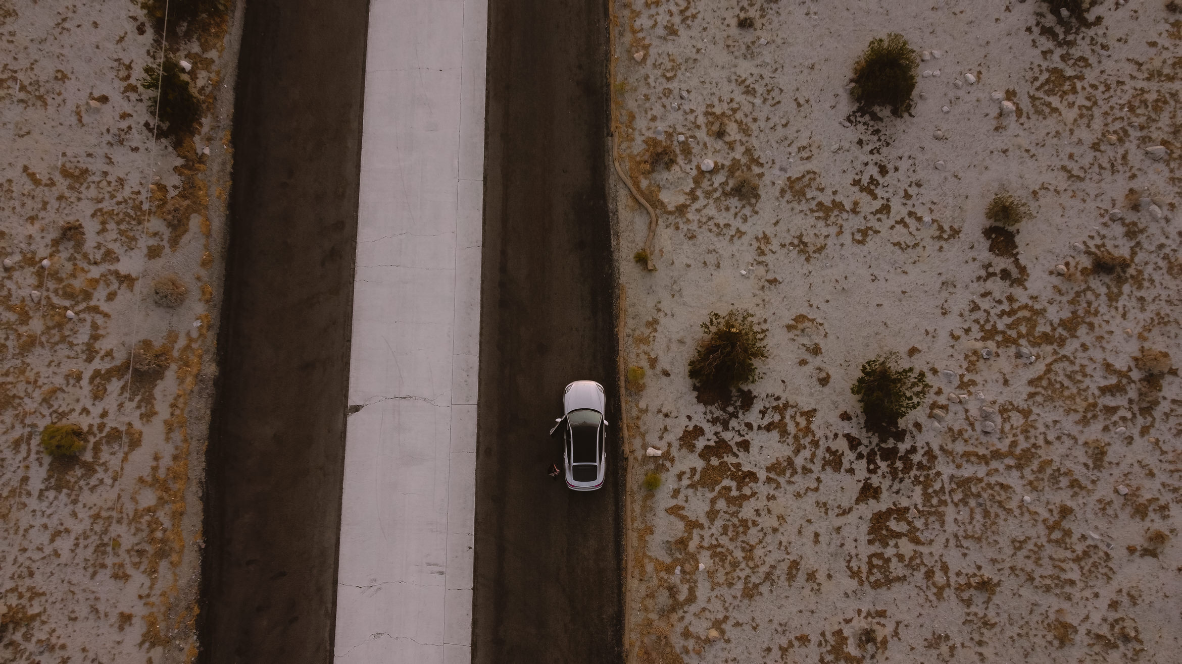 PalmSprings wolfsunset