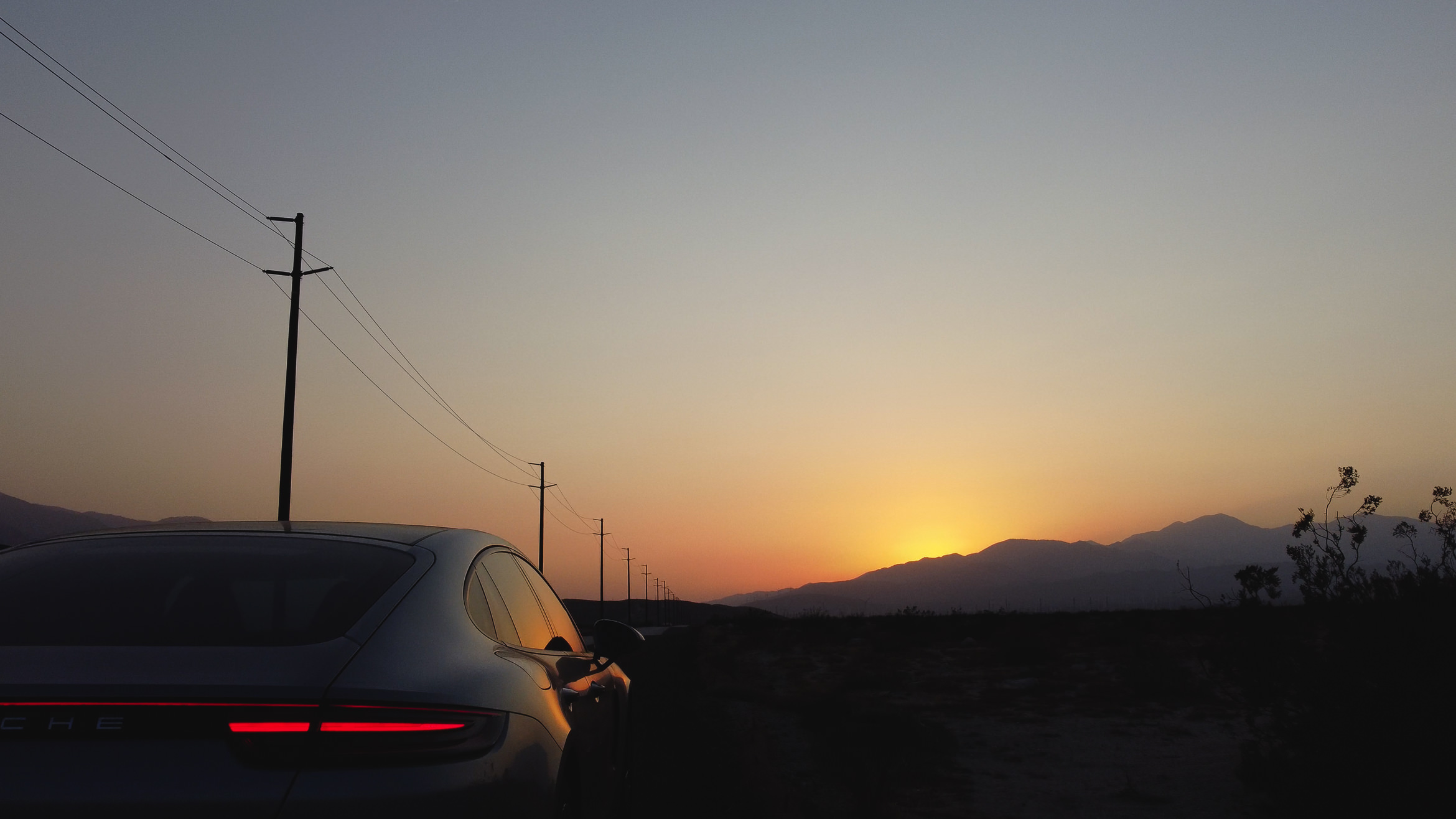 PalmSprings wolfsunset