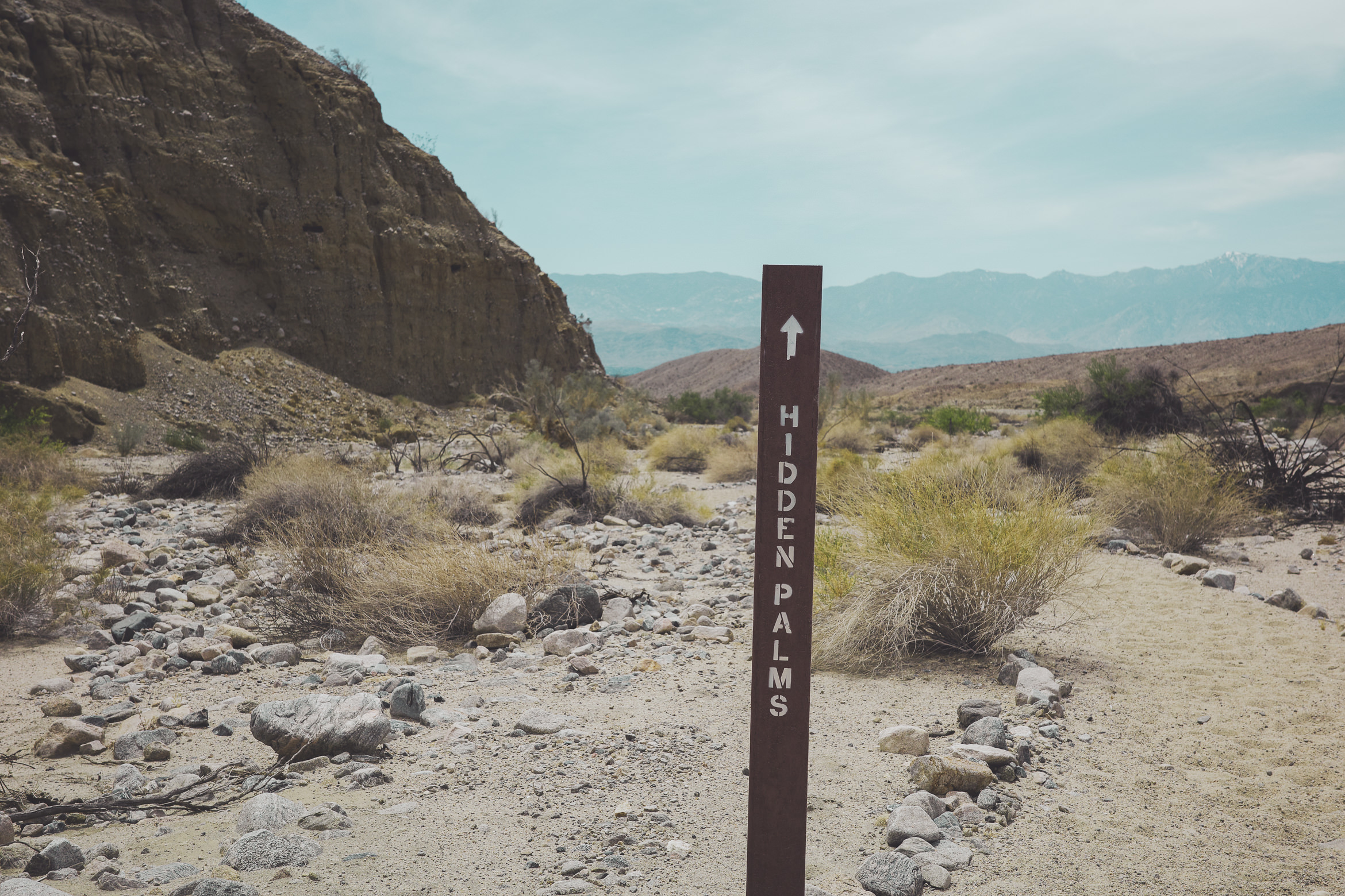 PalmSprings hiddenpalms