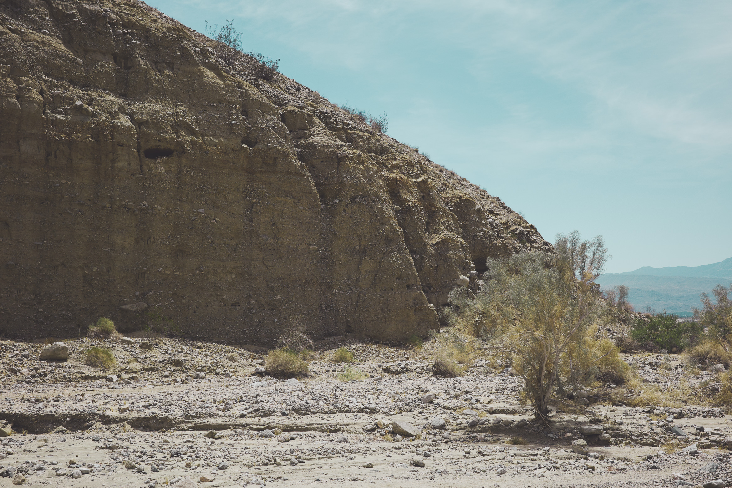 PalmSprings hiddenpalms