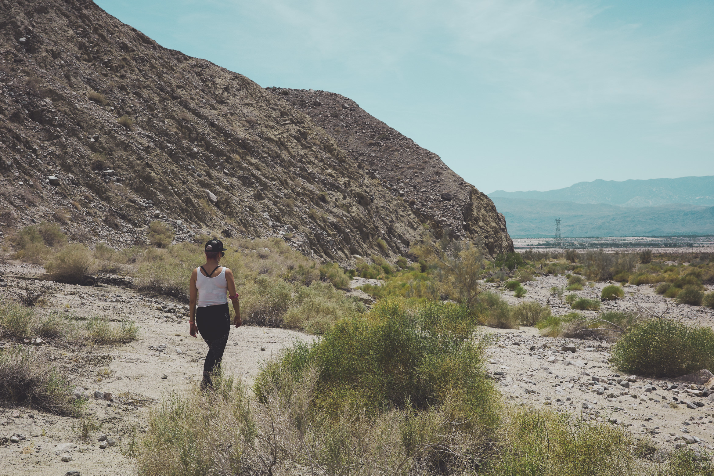 PalmSprings hiddenpalms