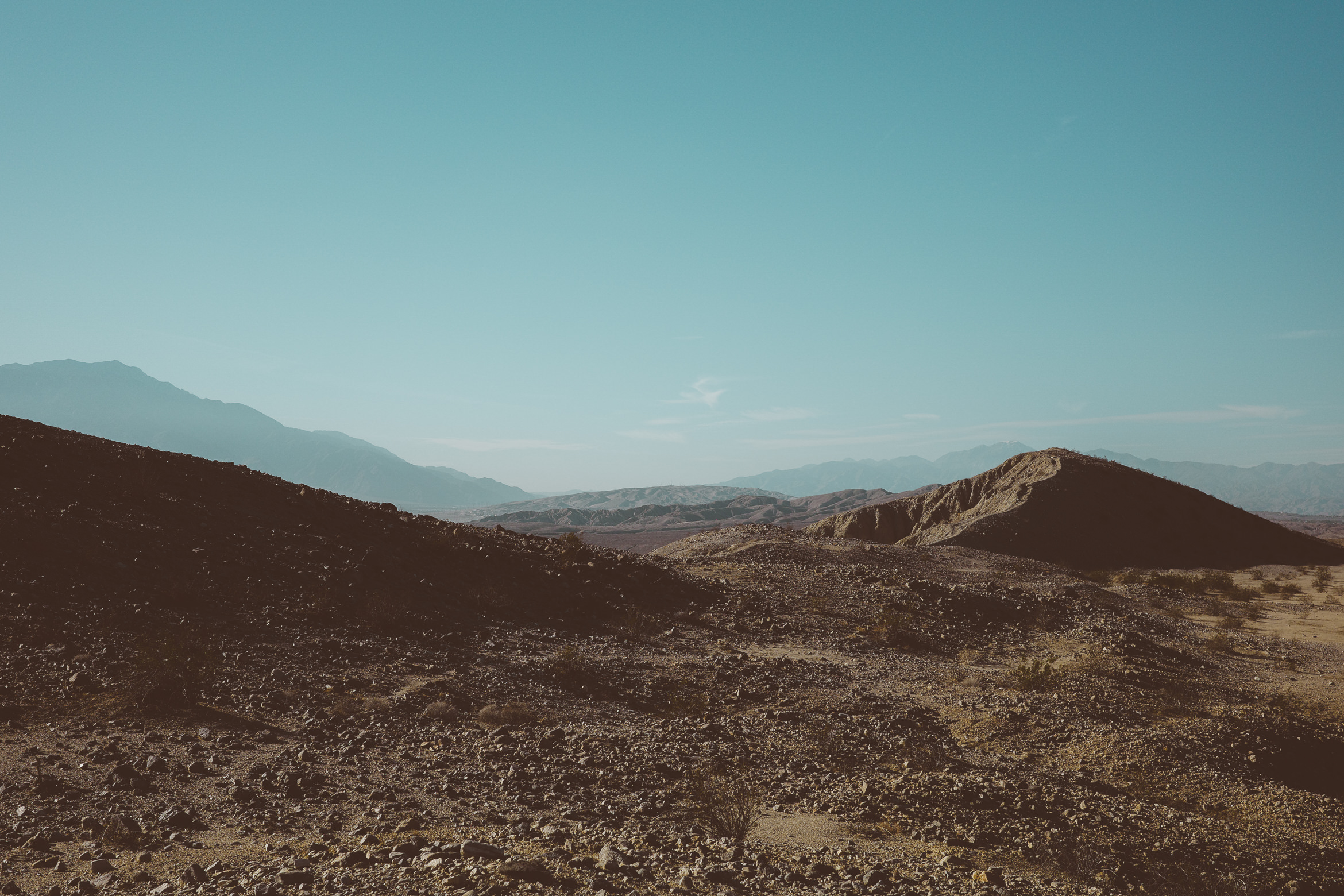 PalmSprings pushawalla