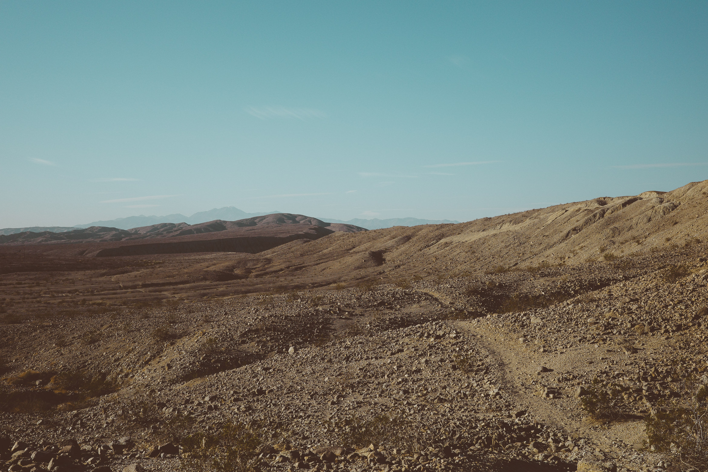 PalmSprings pushawalla