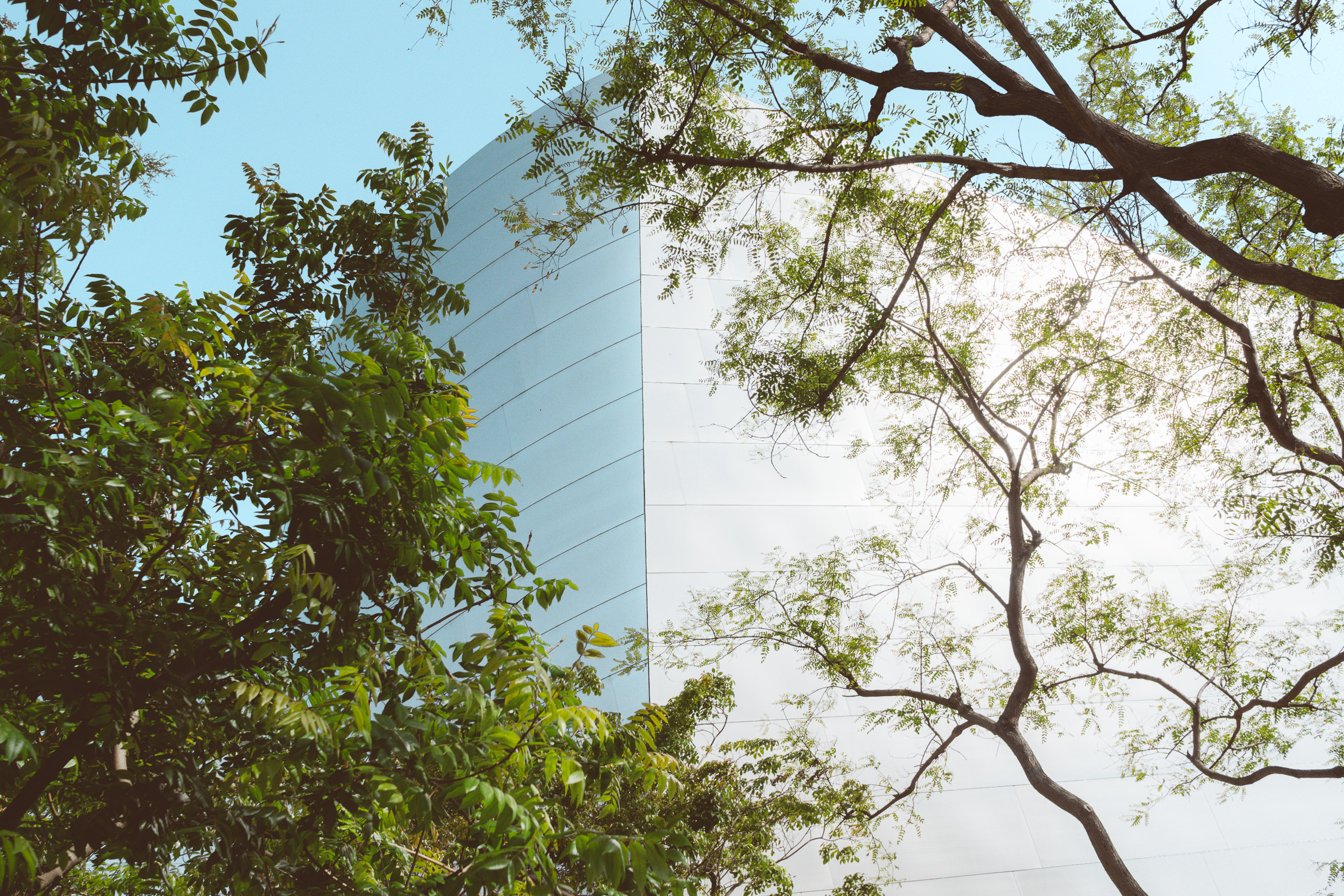 walt disney concert hall