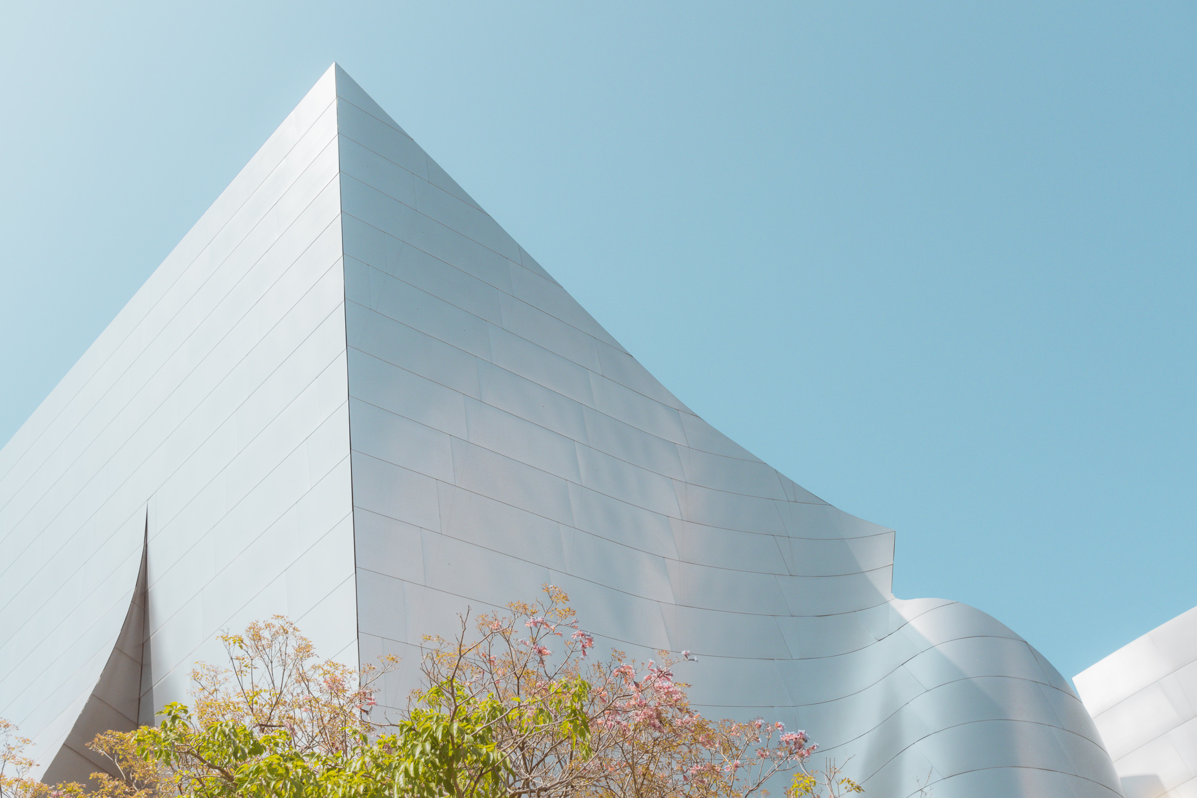 walt disney concert hall
