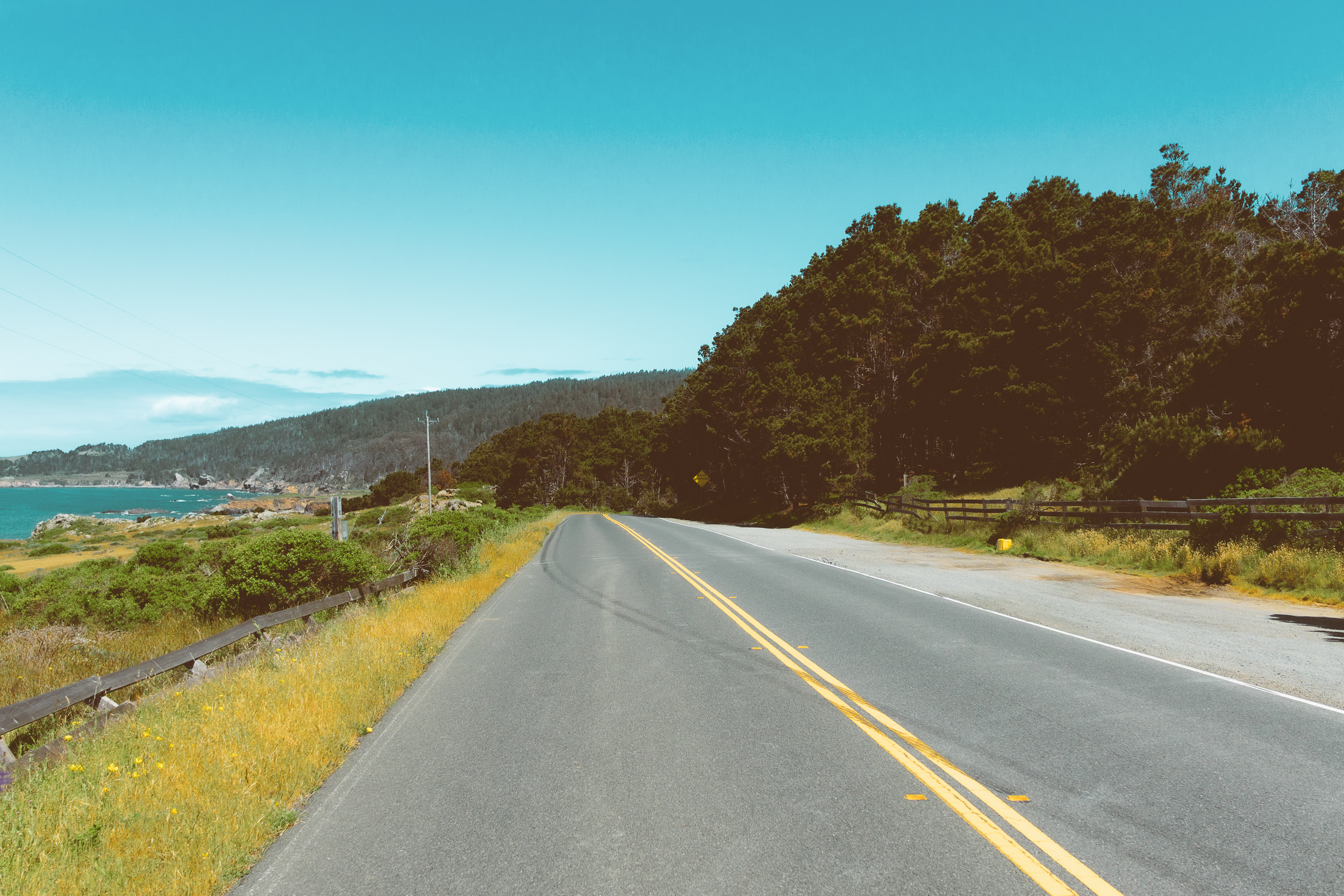 salt point south trail