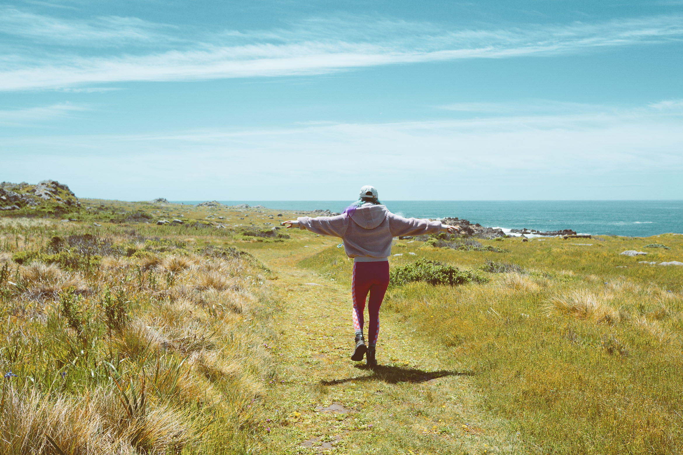 salt point south trail