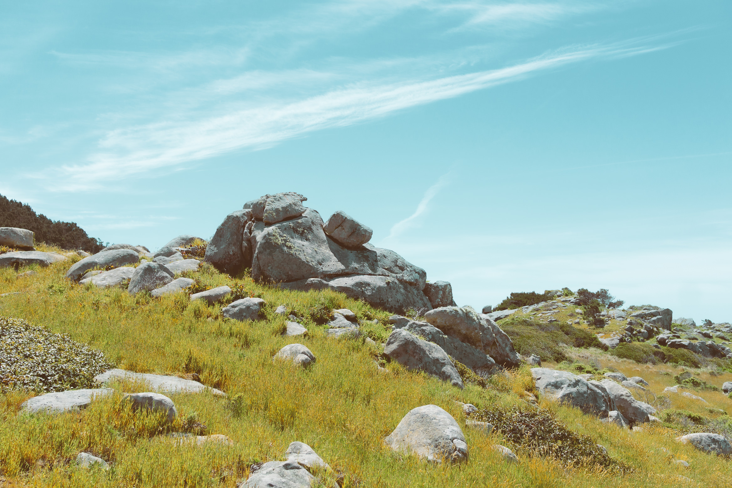 salt point south trail