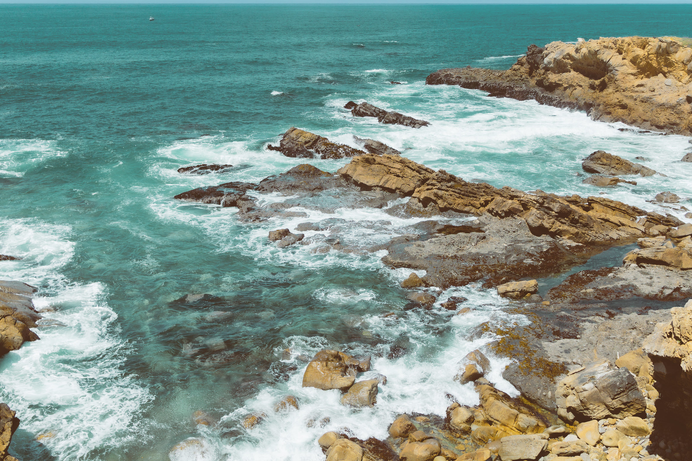 salt point south trail