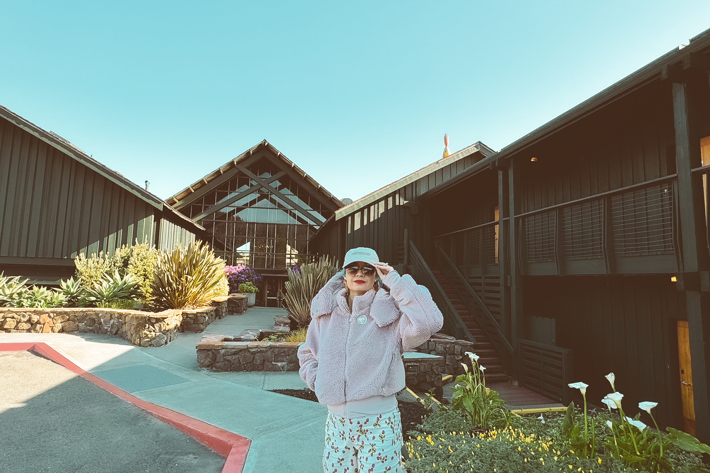 timber cove california coast