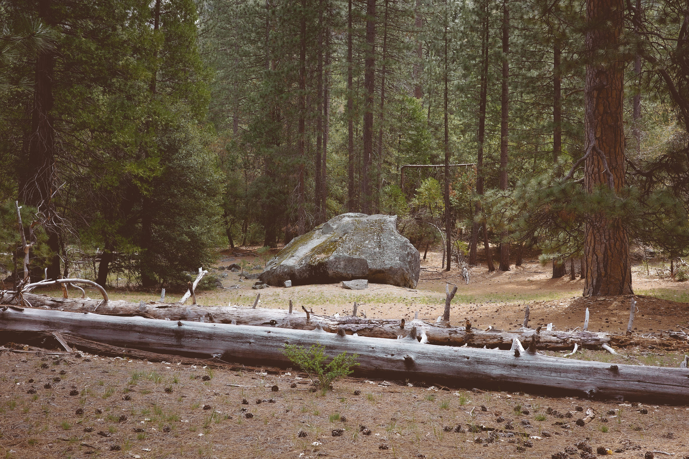 yosemite valley awahanee