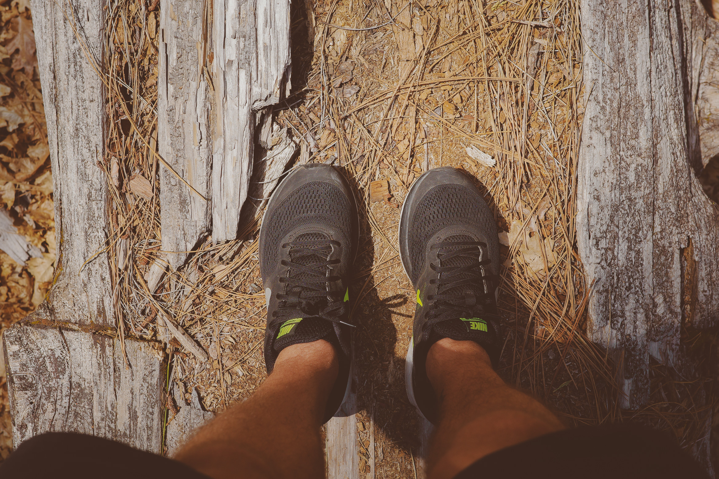 yosemite valley awahanee
