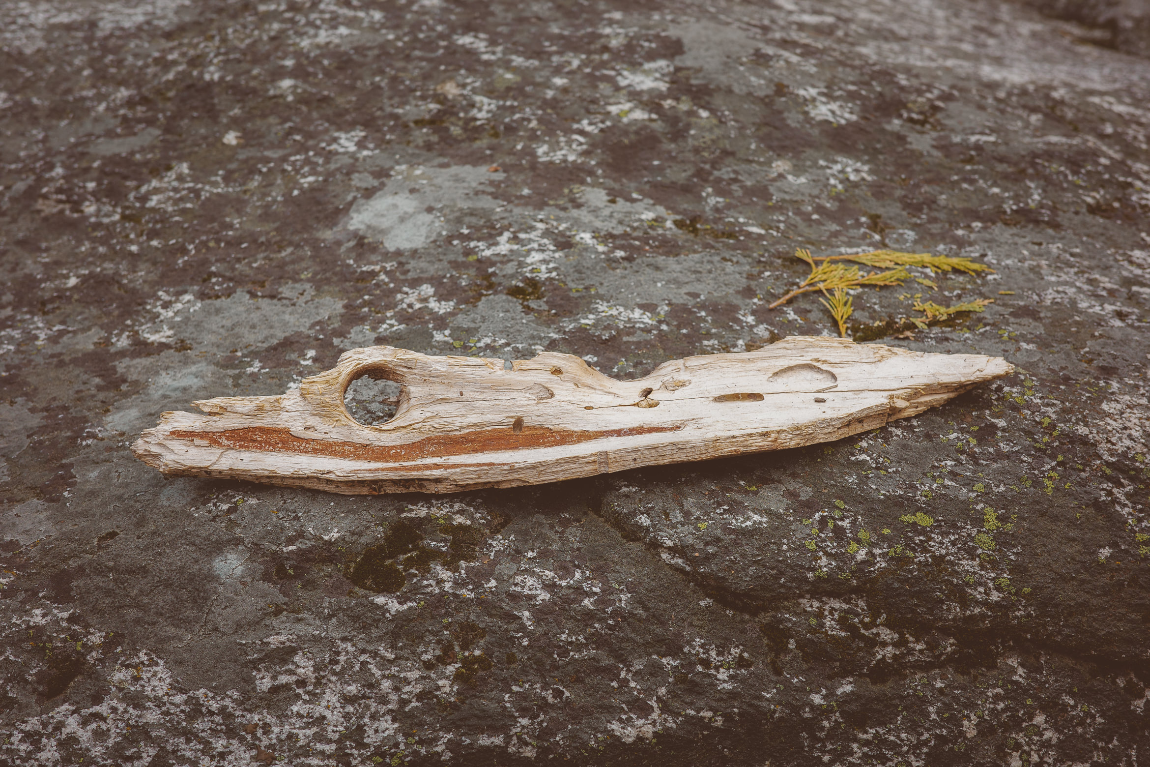 yosemite valley awahanee